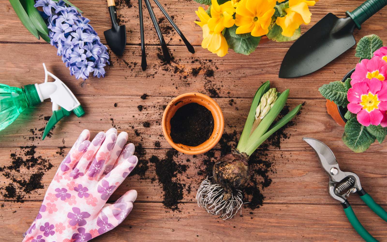 Les secrets du jardinage : le top 7 des outils à avoir absolument !