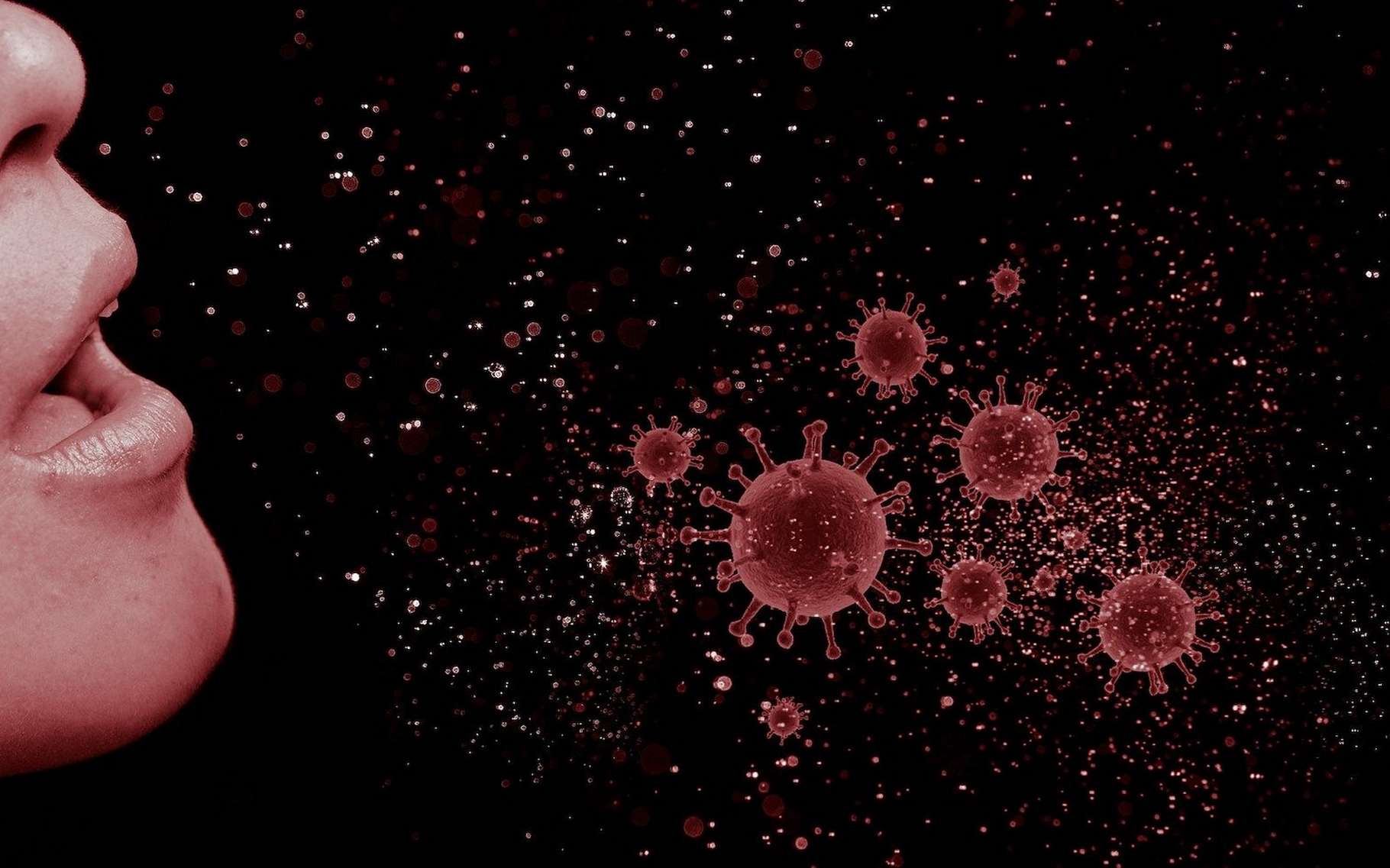 Selon un modèle développé par des mathématiciens, la grippe favoriserait la propagation du coronavirus. © mohamed_hassan, Pixabay License