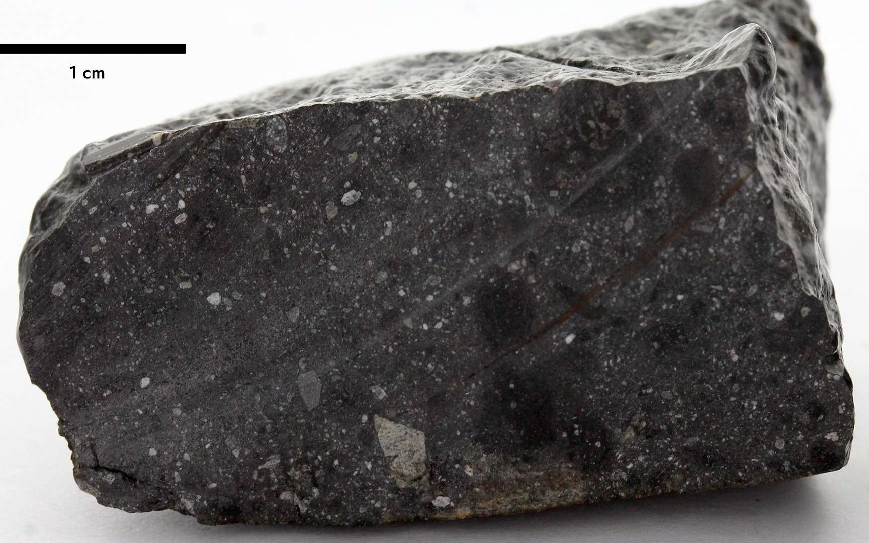La météorite Black Beauty. © Nasa
