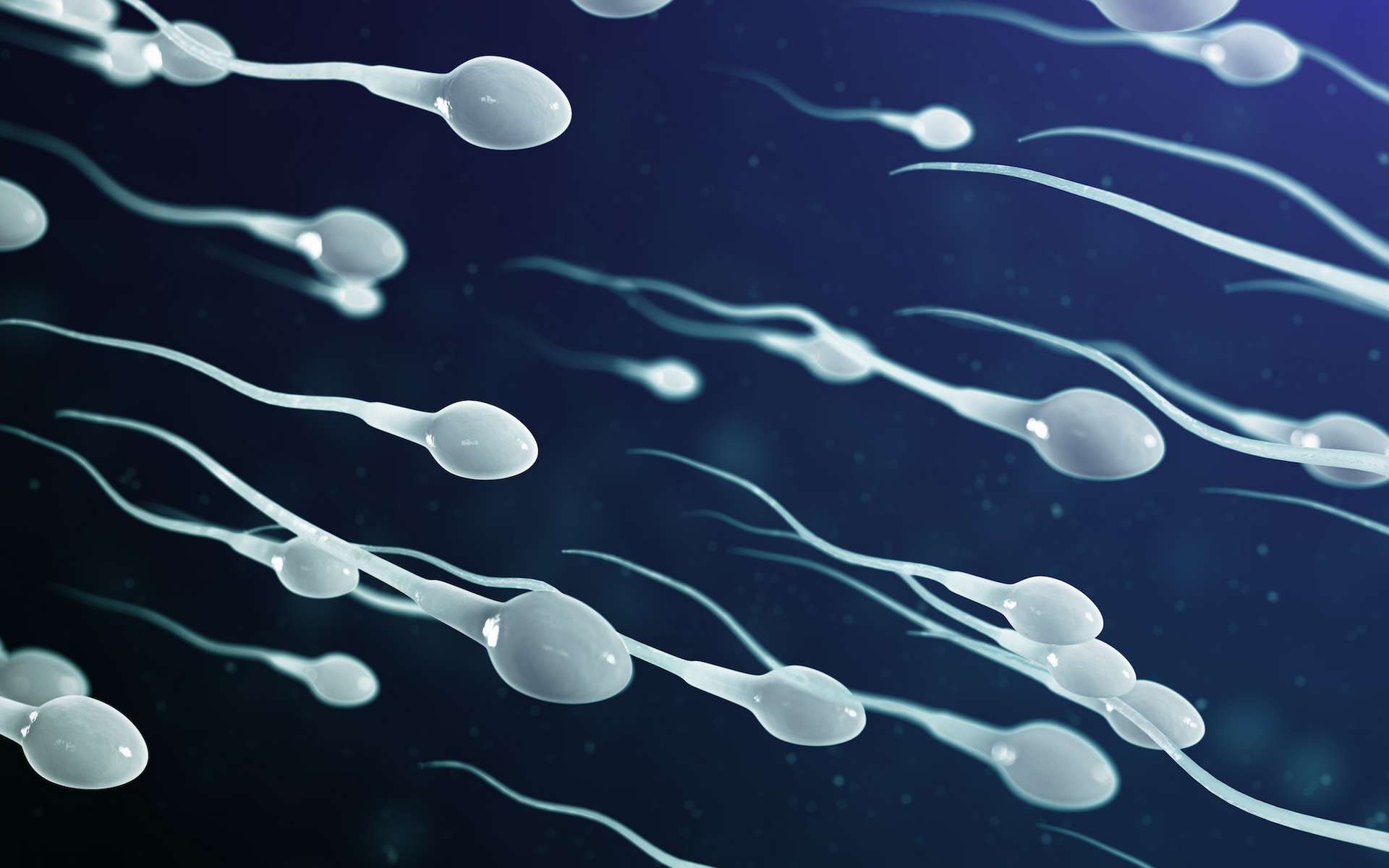 Les chercheurs associent le déclin mondial du nombre de spermatozoïdes avec les insecticides