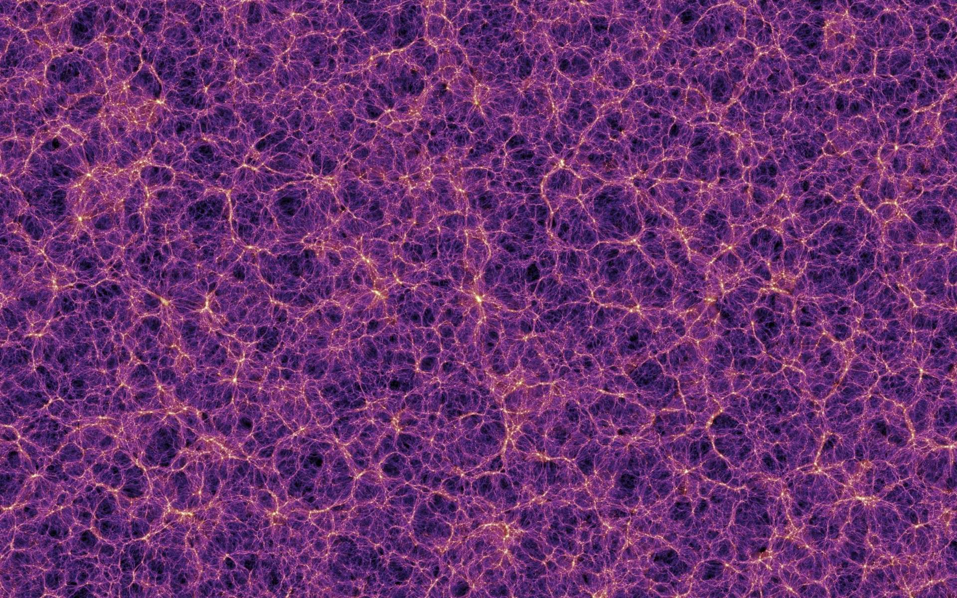 Carte de la matière noire. © V. Springel et al., MPA Garching, The Millenium Simulation