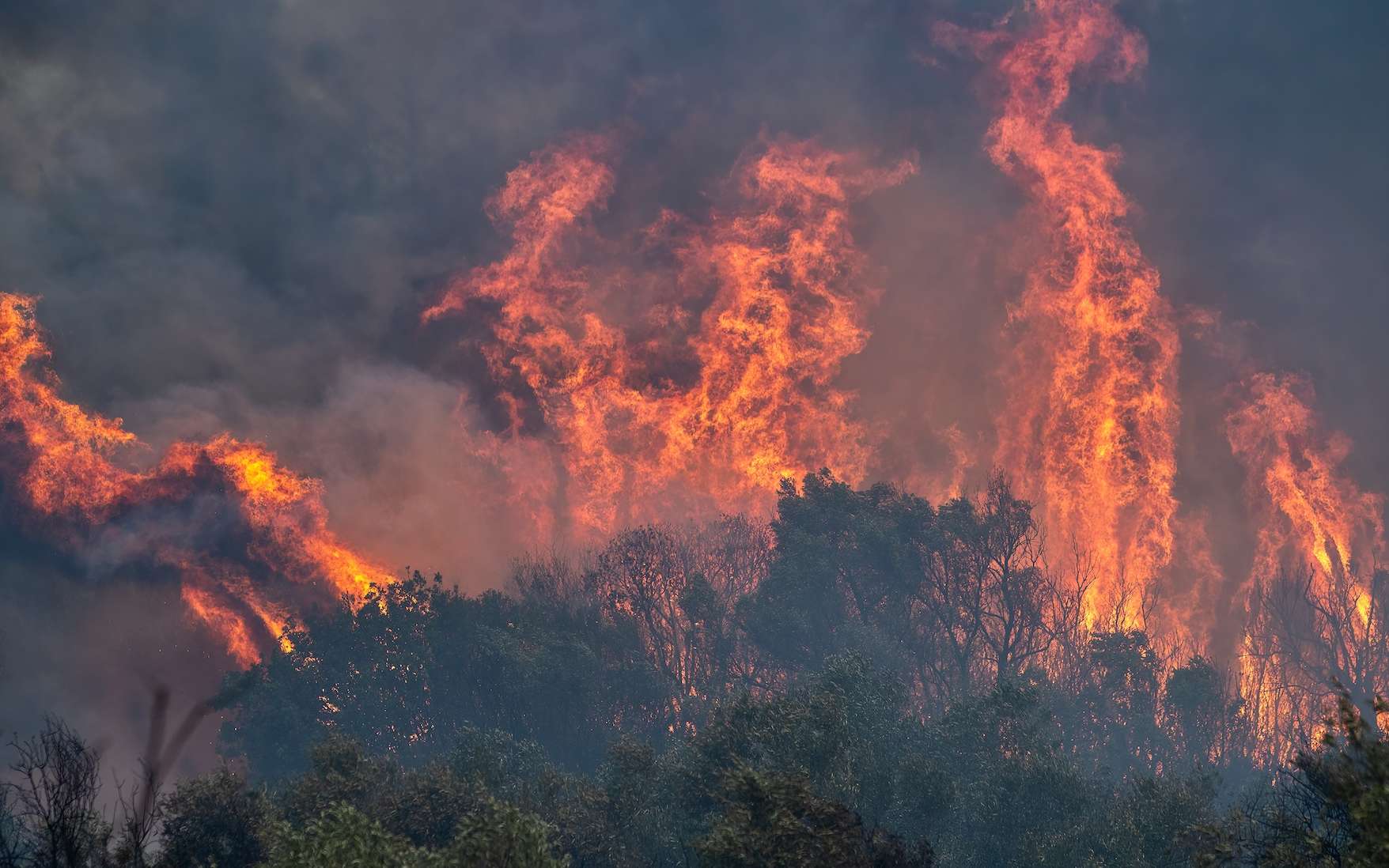 La ville mythique de Marathon encerclée par des incendies géants : ses habitants se réfugient dans un stade olympique !