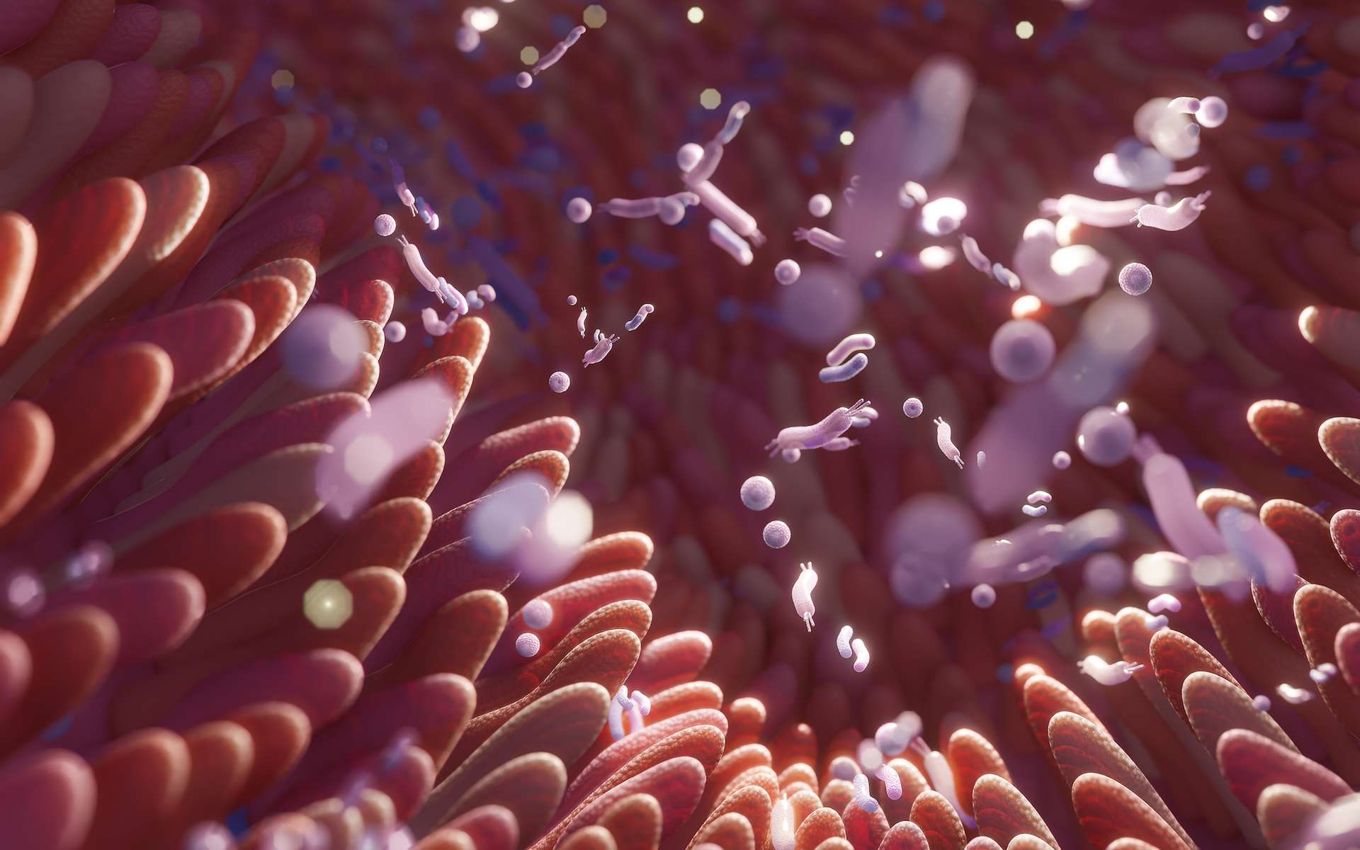 Le langage secret du microbiome : percée majeure dans la compréhension des acides biliaires