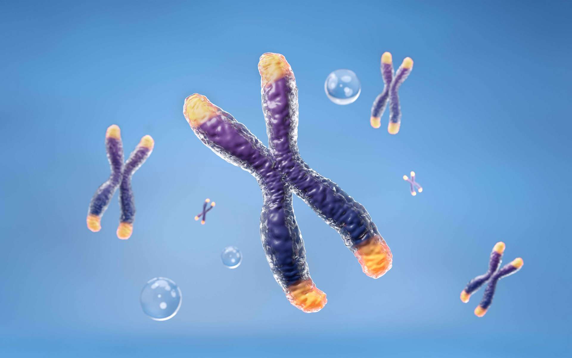 Le mystérieux chromosome Y enfin décodé : ce qu'il nous apprend sur l'évolution humaine
