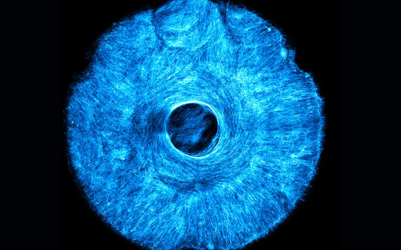 Ce que les chercheurs du MIT ont réussi est fou : ceci n'est pas un iris, mais le futur muscle des robots !