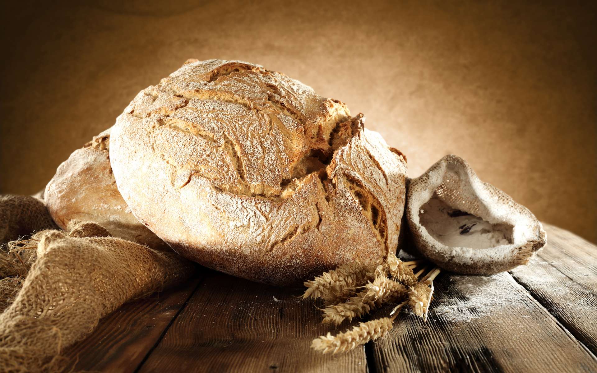 Découverte extraordinaire d'un pain façonné il y a 8 600 ans et encore intacte