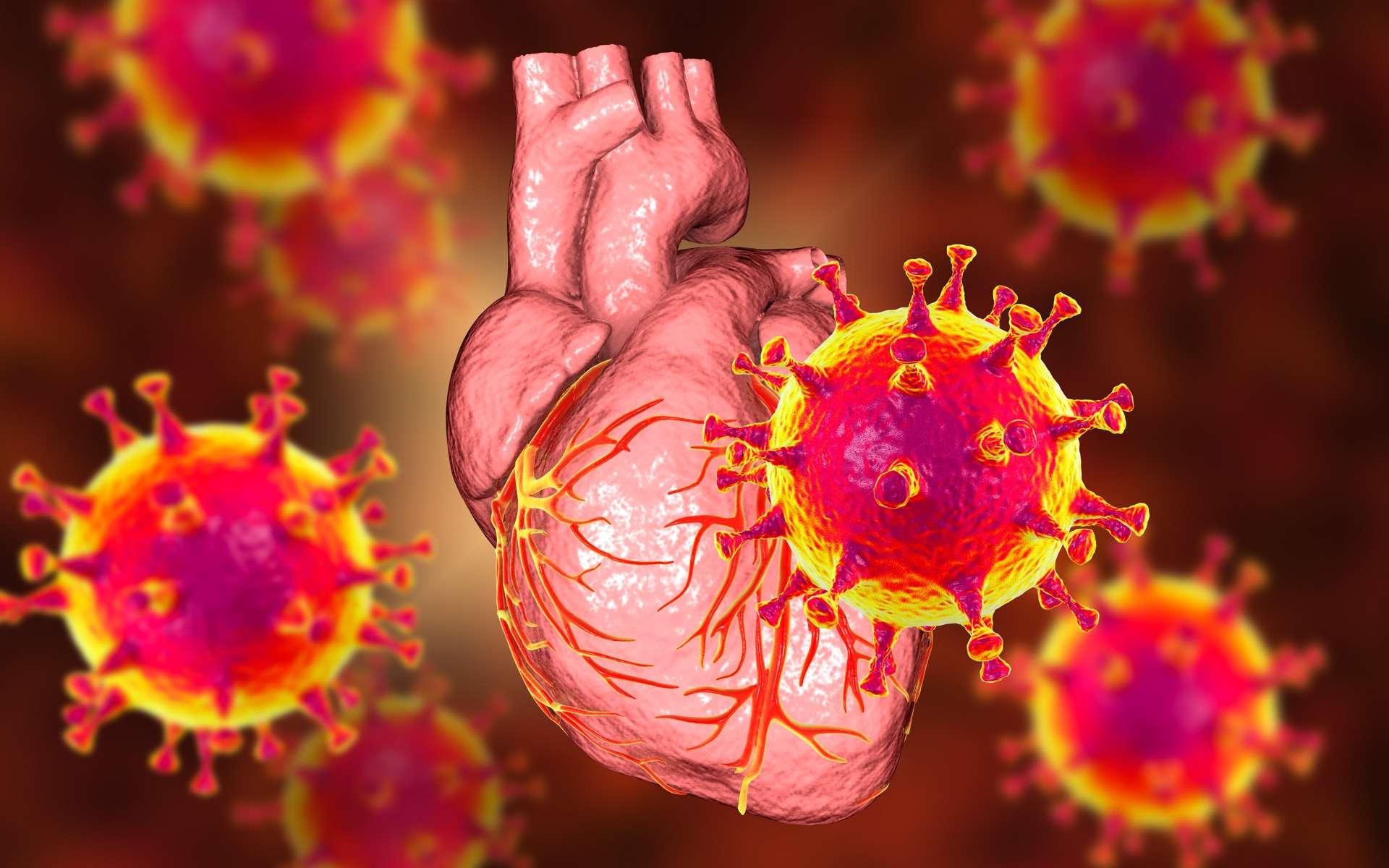 La myocardite est une inflammation du muscle cardiaque habituellement provoquée par un virus. Le coronavirus est-il plus dangereux que le vaccin. © Kateryna_Kon, Adobe Stock