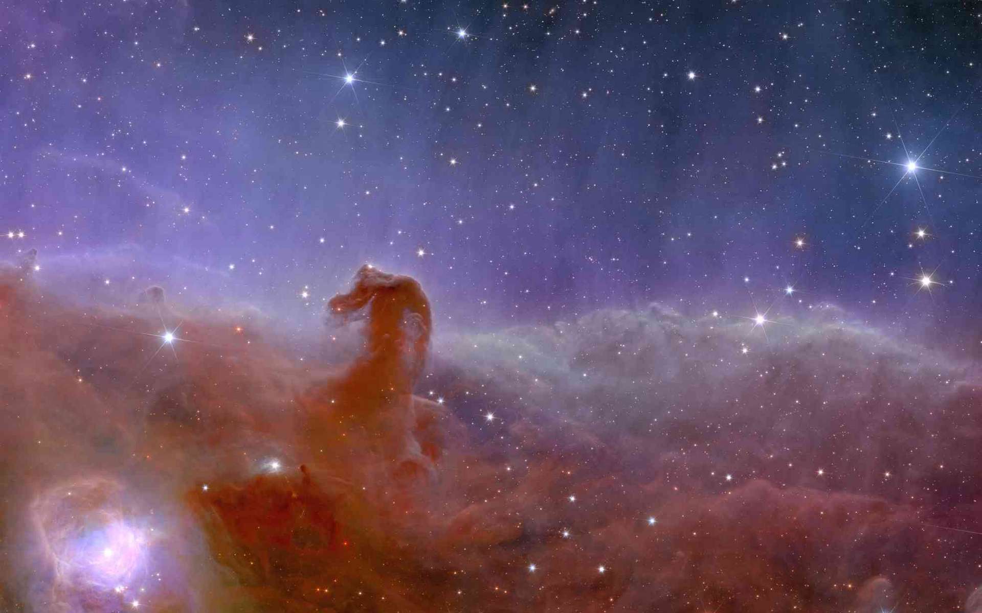 Le télescope James-Webb révèle des détails sans précédent de l'obscure nébuleuse de la Tête de Cheval