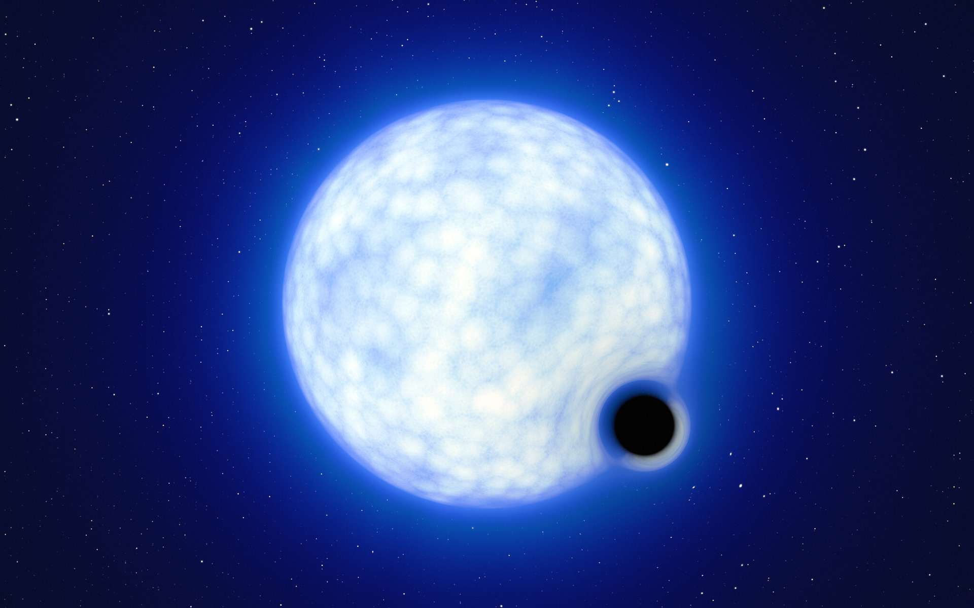 Cette impression d'artiste montre à quoi pourrait ressembler le système binaire VFTS 243 si nous l'observions de près. Le système, qui est situé dans la nébuleuse de la Tarentule dans le Grand Nuage de Magellan, est composé d'une étoile chaude et bleue avec 25 fois la masse du Soleil et d'un trou noir, qui contient au moins neuf fois la masse du Soleil. Les tailles des deux composants du système binaires ne sont pas à l'échelle : en réalité, l'étoile bleue est environ 200.000 fois plus grande que le trou noir. Notez que l'effet de « lentille » autour du trou noir est montré à des fins d'illustration uniquement, pour rendre cet objet sombre plus visible dans l'image. L'inclinaison du système fait qu'en le regardant depuis la Terre, on ne peut pas observer le trou noir éclipsant l'étoile. © L. Calcada, ESO