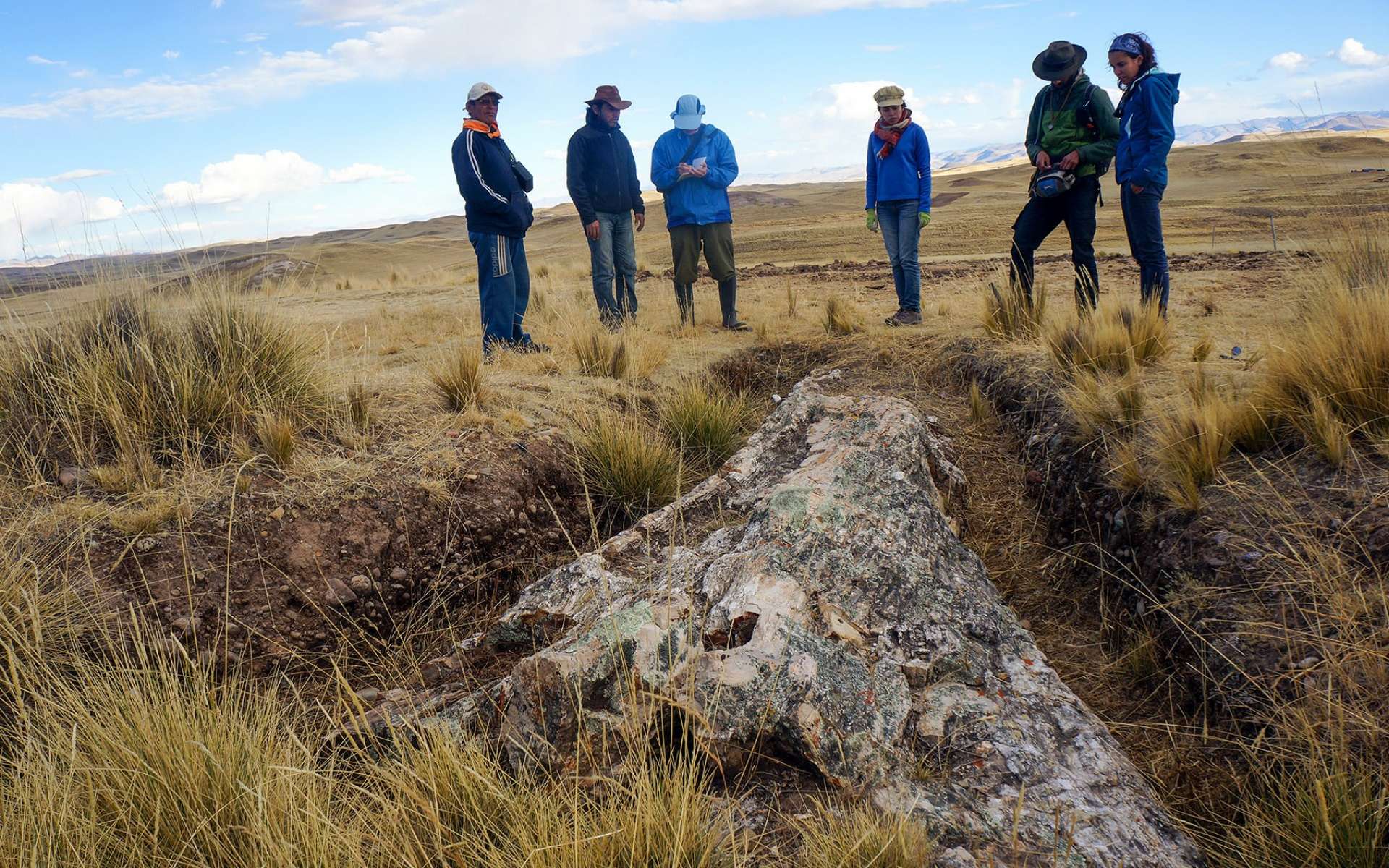 Un arbre pétrifié depuis 10 millions d'années raconte une autre histoire du climat passé ! (Vidéo sur Bidfoly.com) Par Julie Kern Bf20e4a0fe_50167002_arbre-fossilise-2