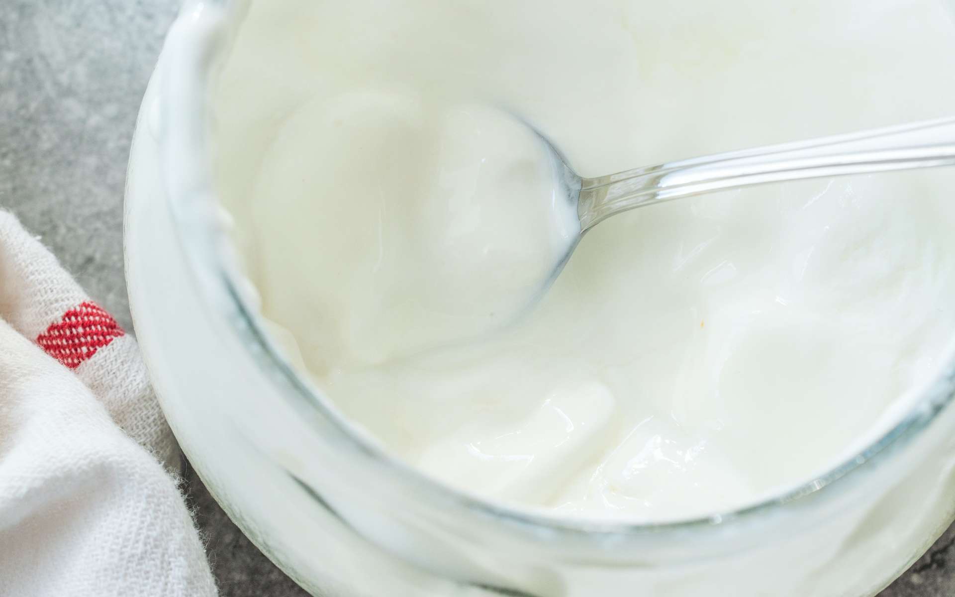 Le yaourt contient plus de bactéries lactiques que le fromage blanc. © Alp Aksoy, Adobe Stock