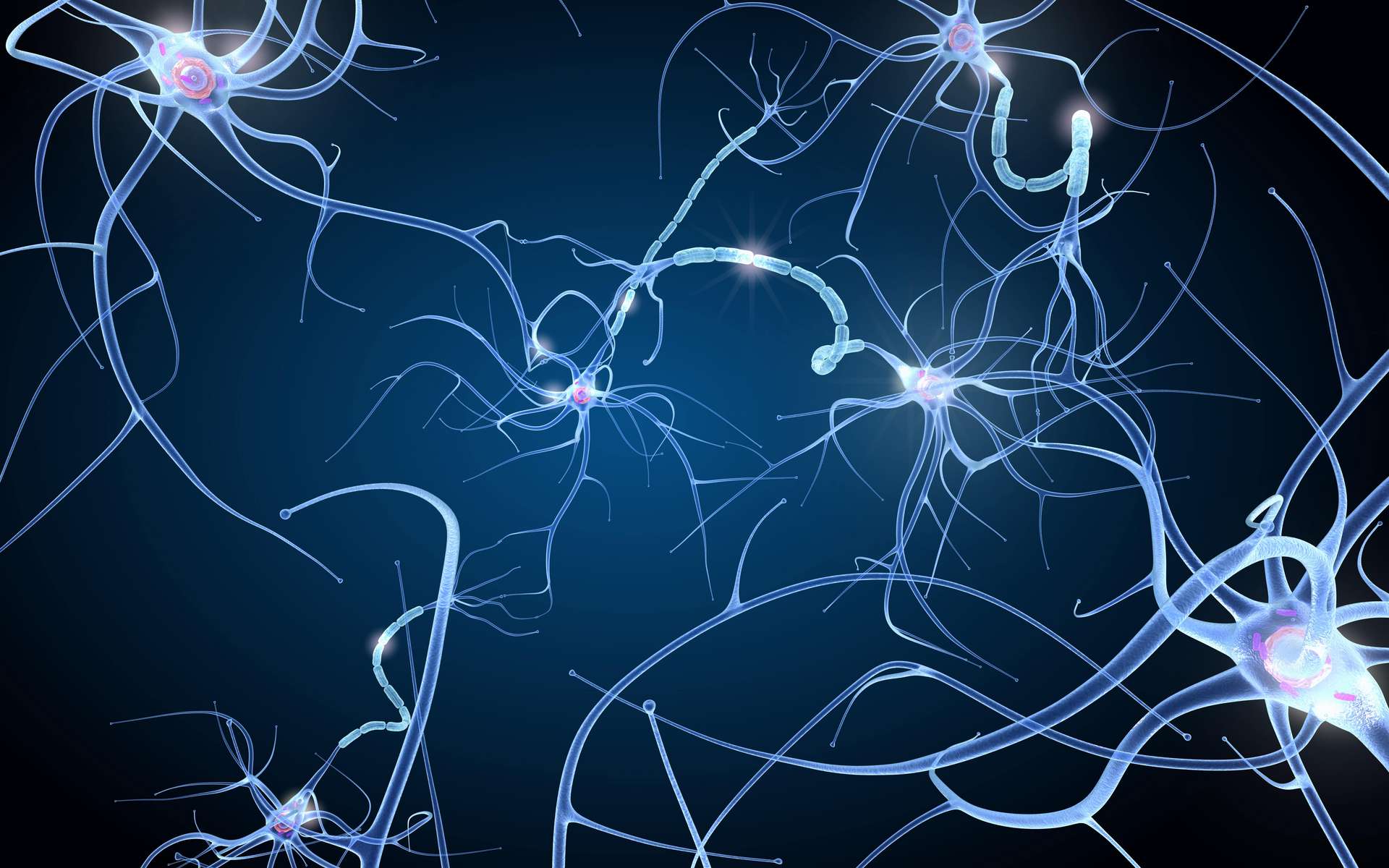 Un ensemble de neurones, disposé sur une puce, fait preuve d'intelligence en apprenant à jouer à Pong. © Alexandr Mitiuc, Adobe Stock