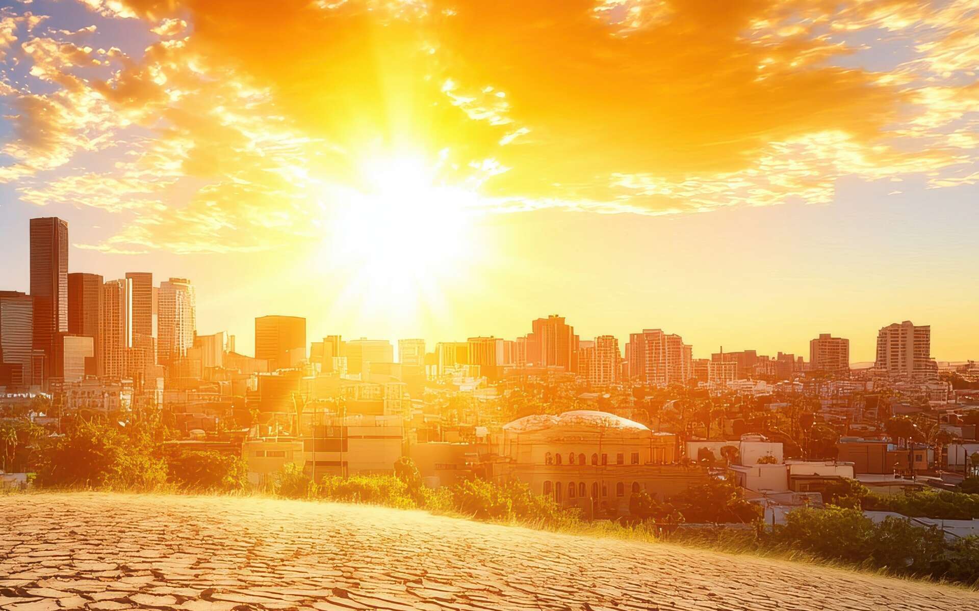 La canicule s'éternise : quand les températures finiront-elles par redescendre ?