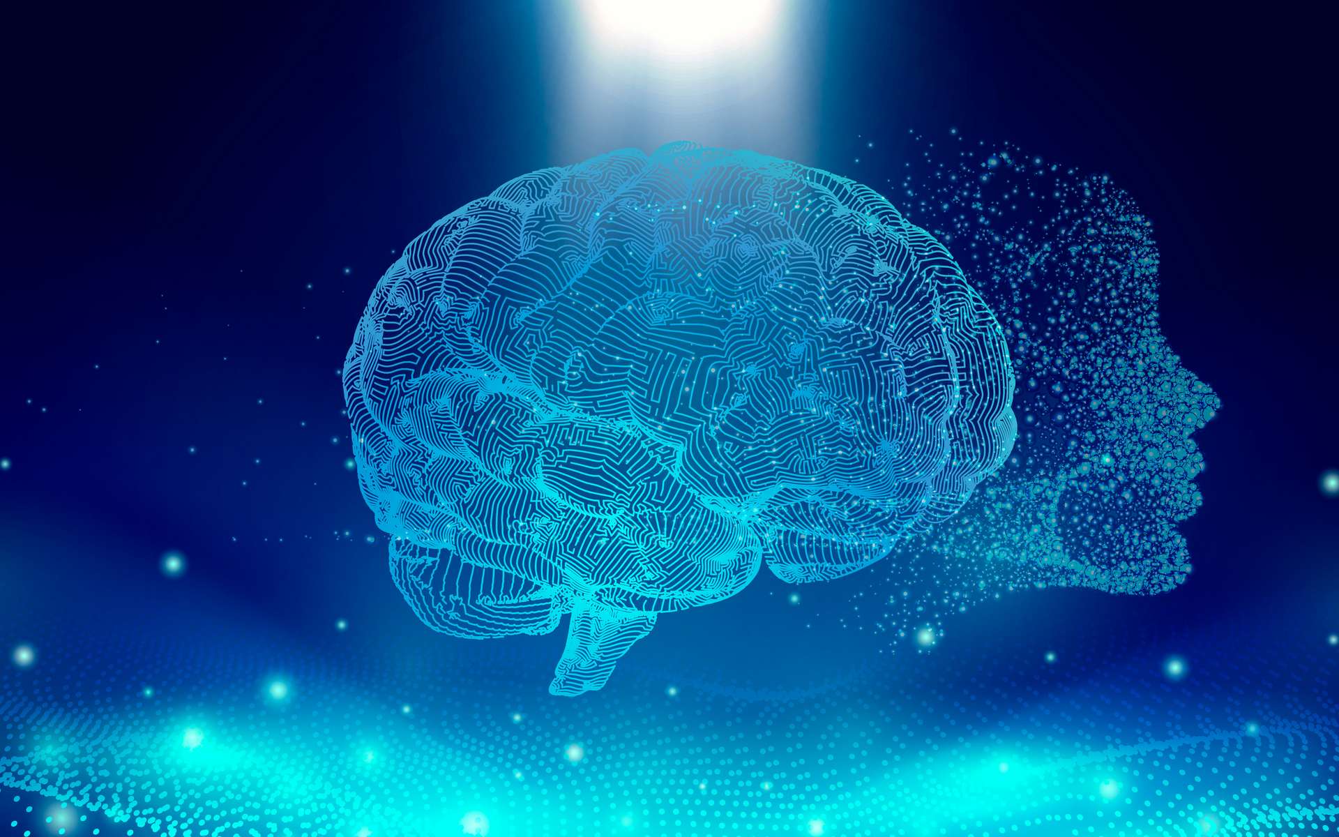 Cette intelligence artificielle transforme vos ondes cérébrales en vidéos surprenantes