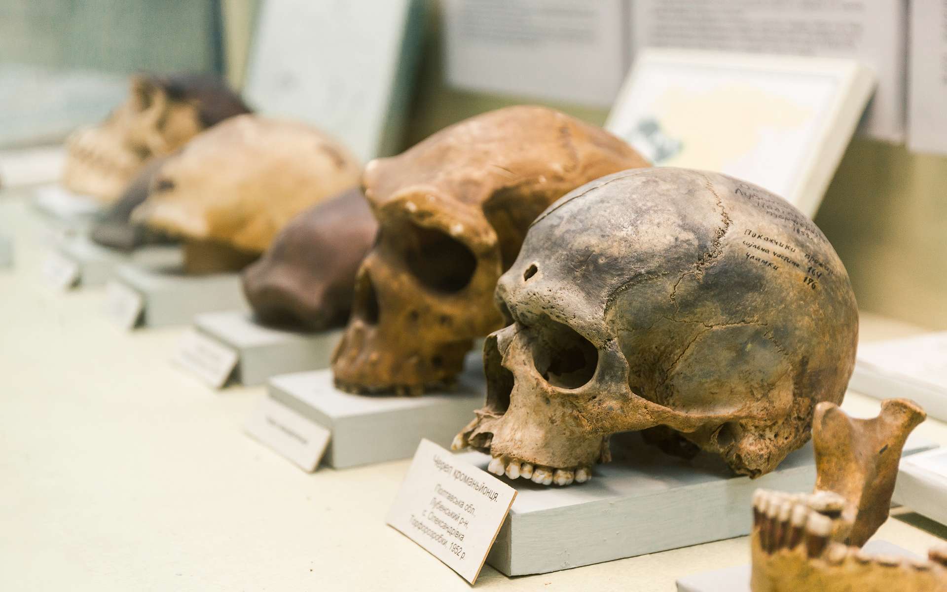 Cet étrange crâne découvert en Chine pourrait réécrire l'évolution de l'humanité