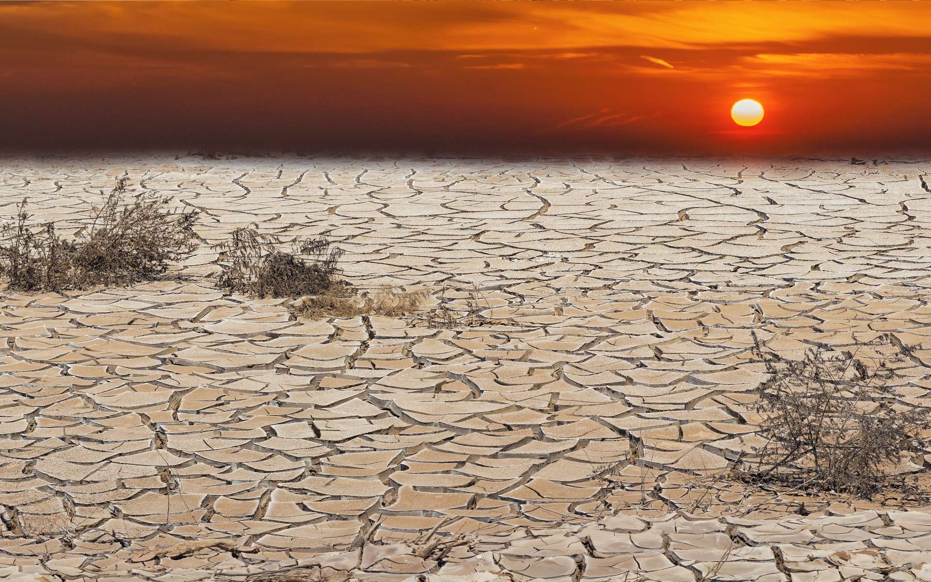 Les scientifiques tirent une fois de plus la sonnette d’alarme. Des mesures doivent être prises d’urgence pour limiter le réchauffement climatique. Sans quoi l’humanité devra faire face à une « souffrance indescriptible ». © sergei_fish13, Adobe Stock