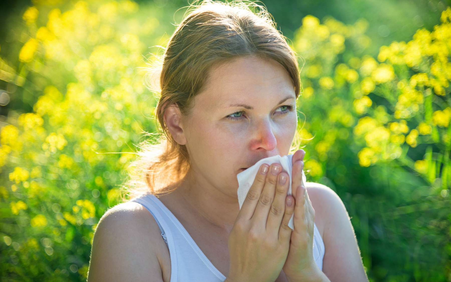 À la fin du siècle, la saison des allergies durera plus longtemps qu'aujourd'hui, selon une simulation informatique. © andreus K, Adobe Stock