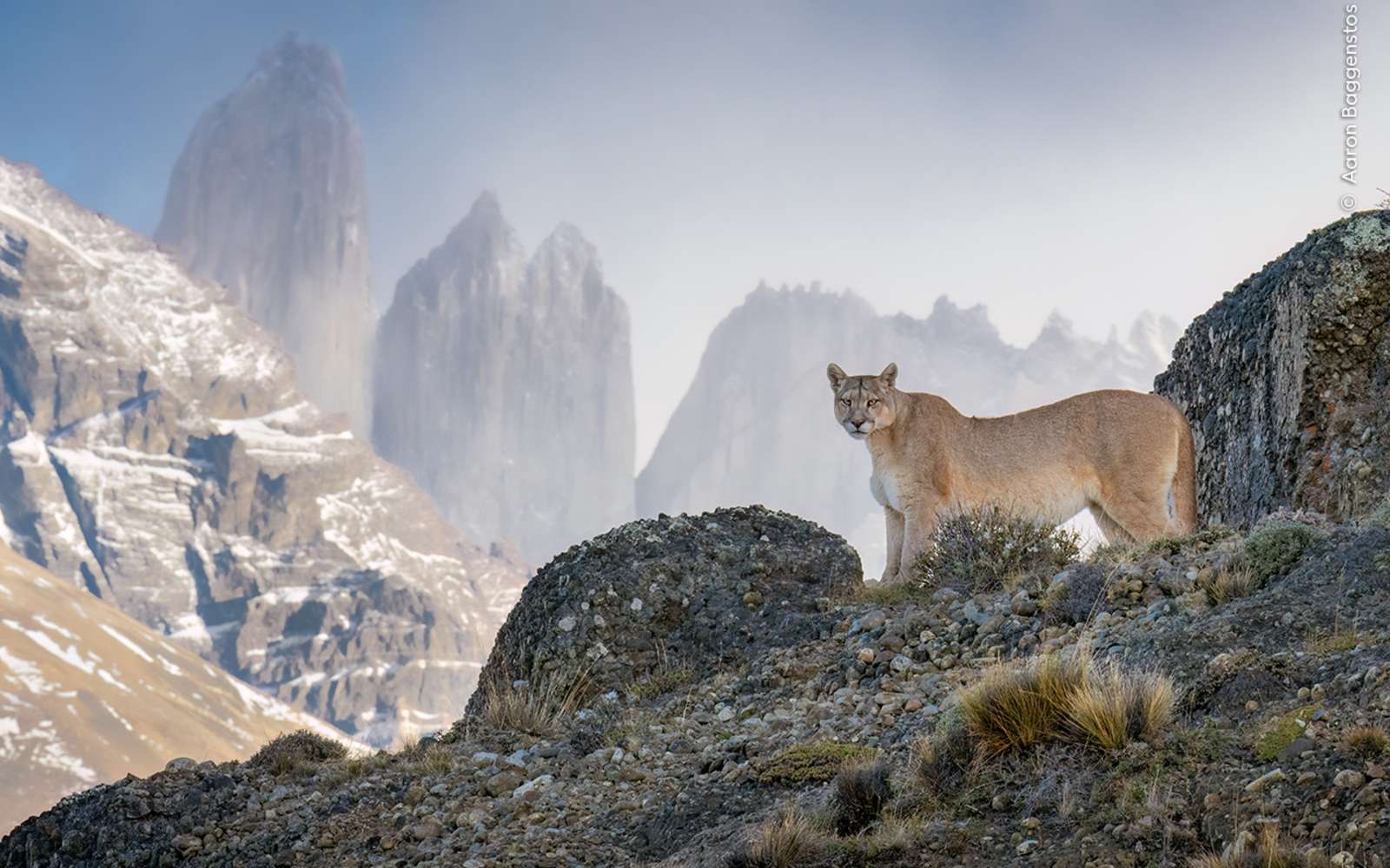 Ces 10 photos choisies par le public vont bouleverser votre perception du monde sauvage