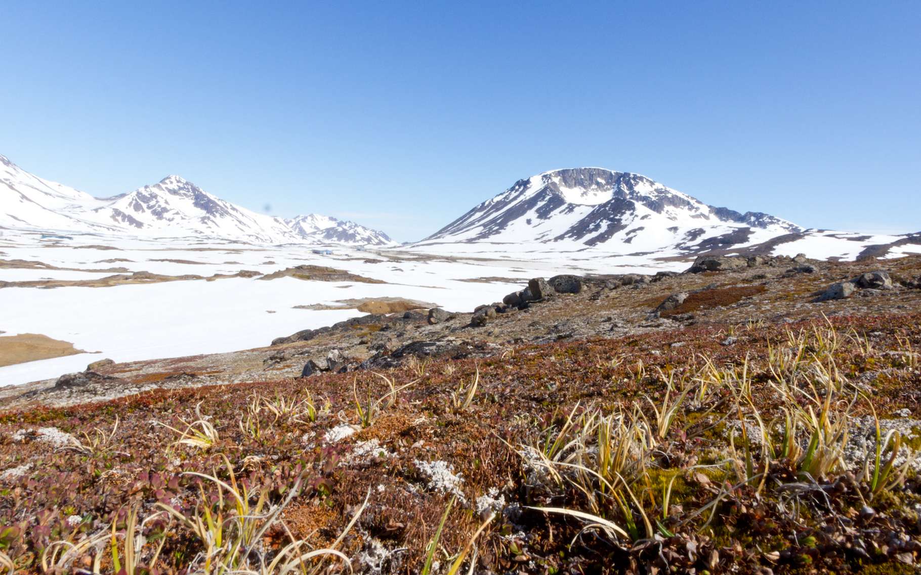 Le Groenland était sans glace il y a 400 000 ans : un avertissement pour notre futur