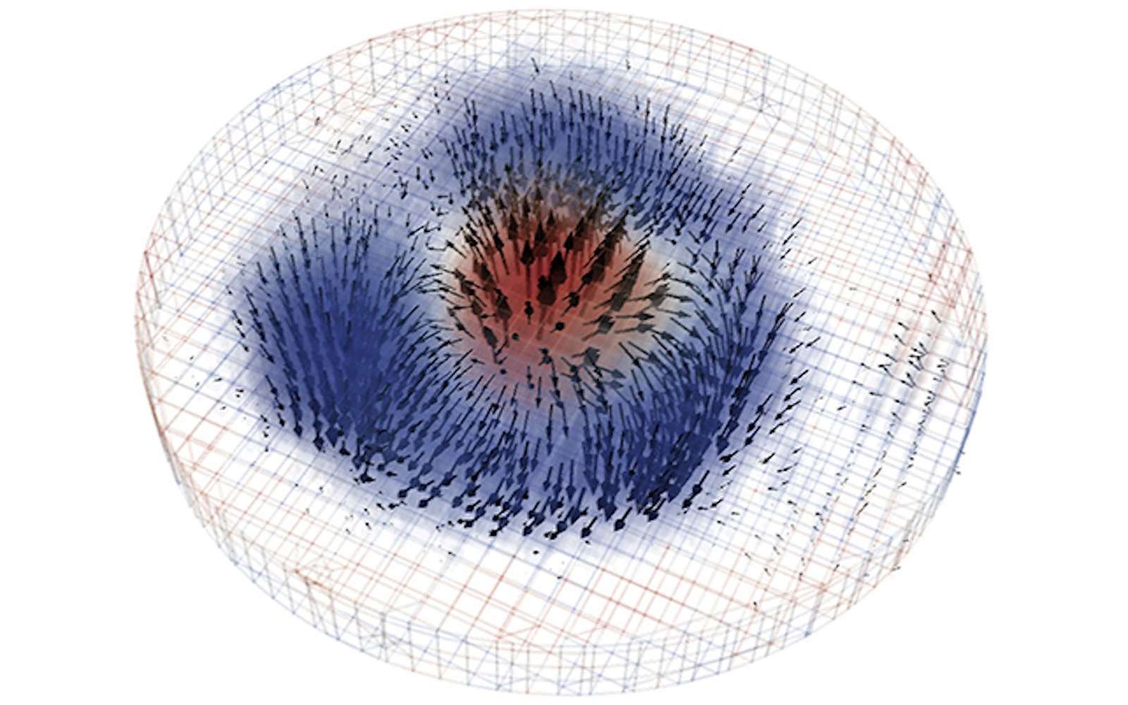 Des chercheurs obtiennent la première image en 3D d'un skyrmion magnétique