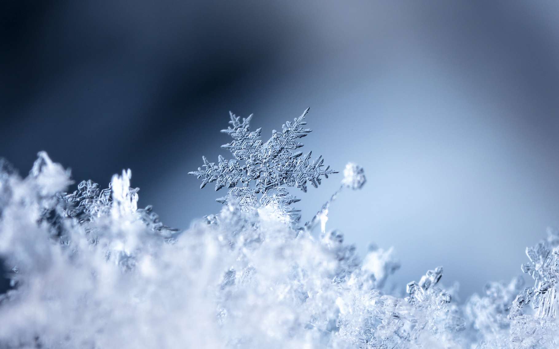 La prévision de la neige reste très délicate, même avec les progrès des prévisions météo ces dernières années. © vadim_fl, Adobe Stock
