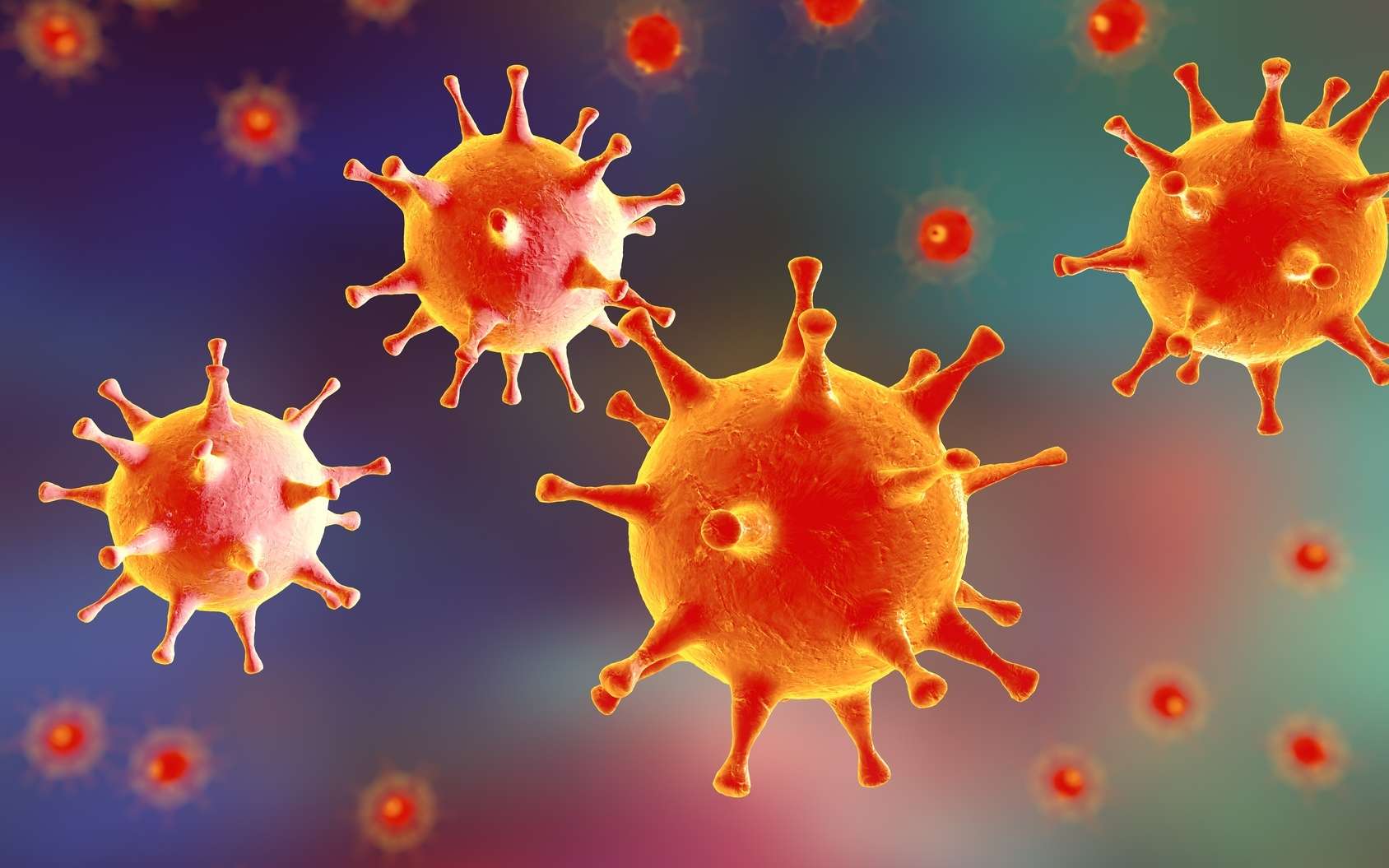 Les virus HSV1 et HSV2 sont tous deux des virus de la famille des herpèsvirus. © Kateryna_Kon, Fotolia