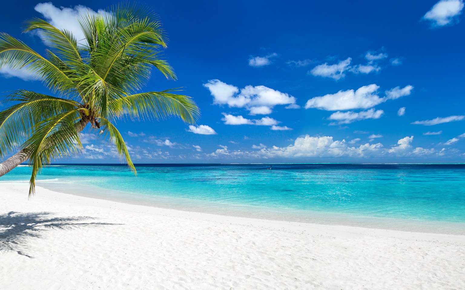Réchauffement climatique : disparition annoncée de près de la moitié des plages d'ici 2100