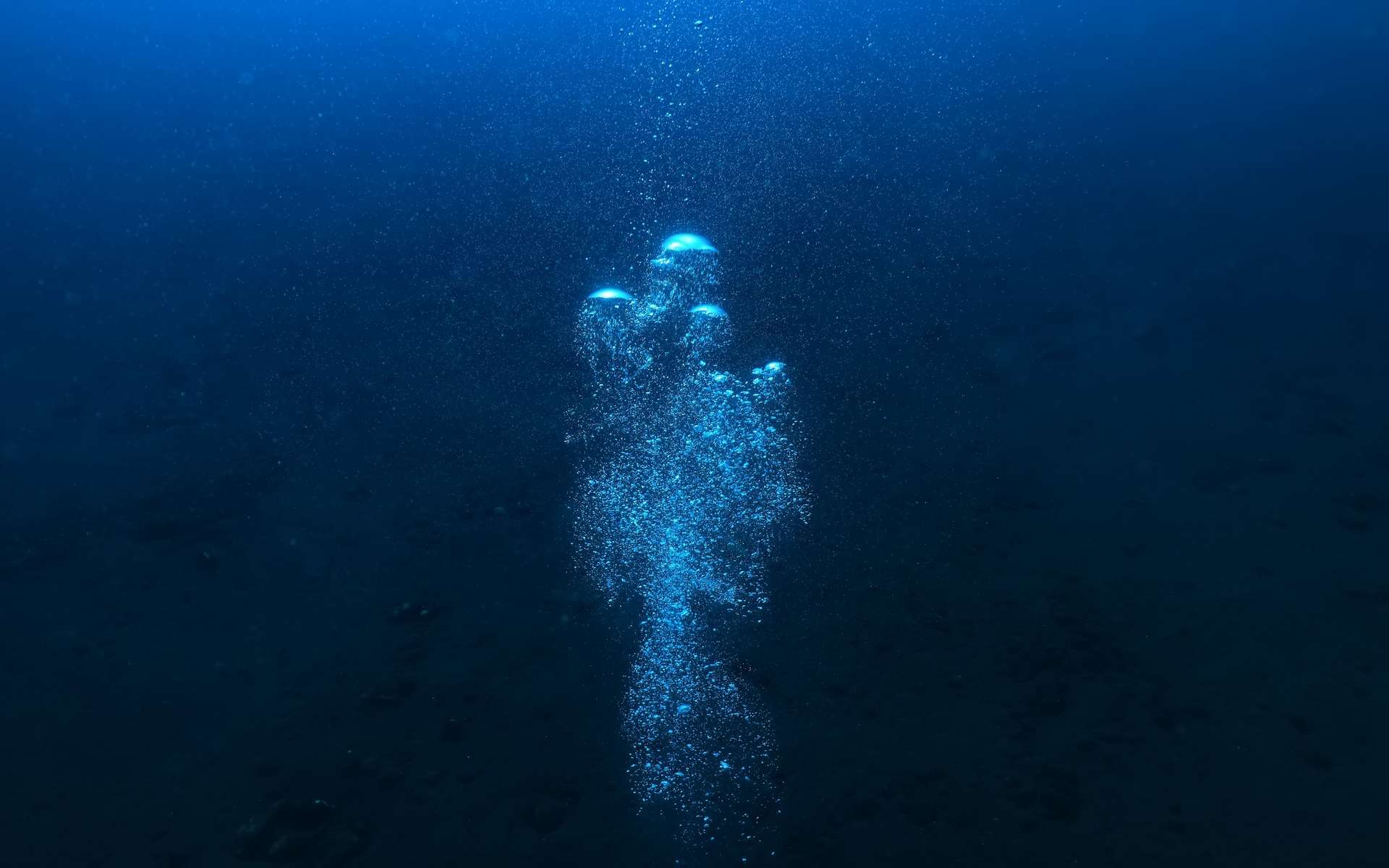L'océan cache encore un géant des mers que personne n'a jamais vu vivant !
