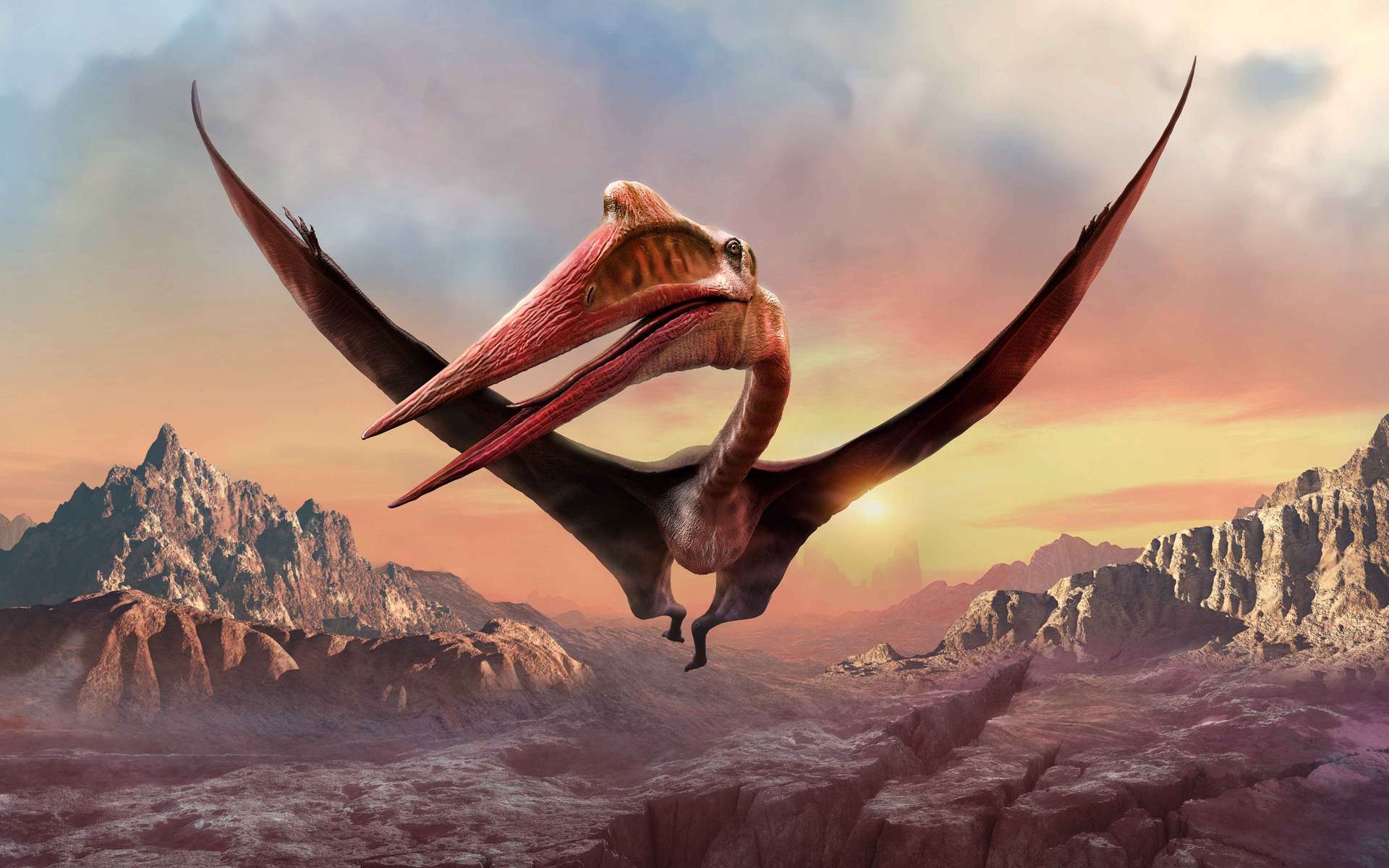 L'envergure de Quetzalcoatlus pouvait atteindre les 10 mètres. © warpaintcobra, Adobe Stock