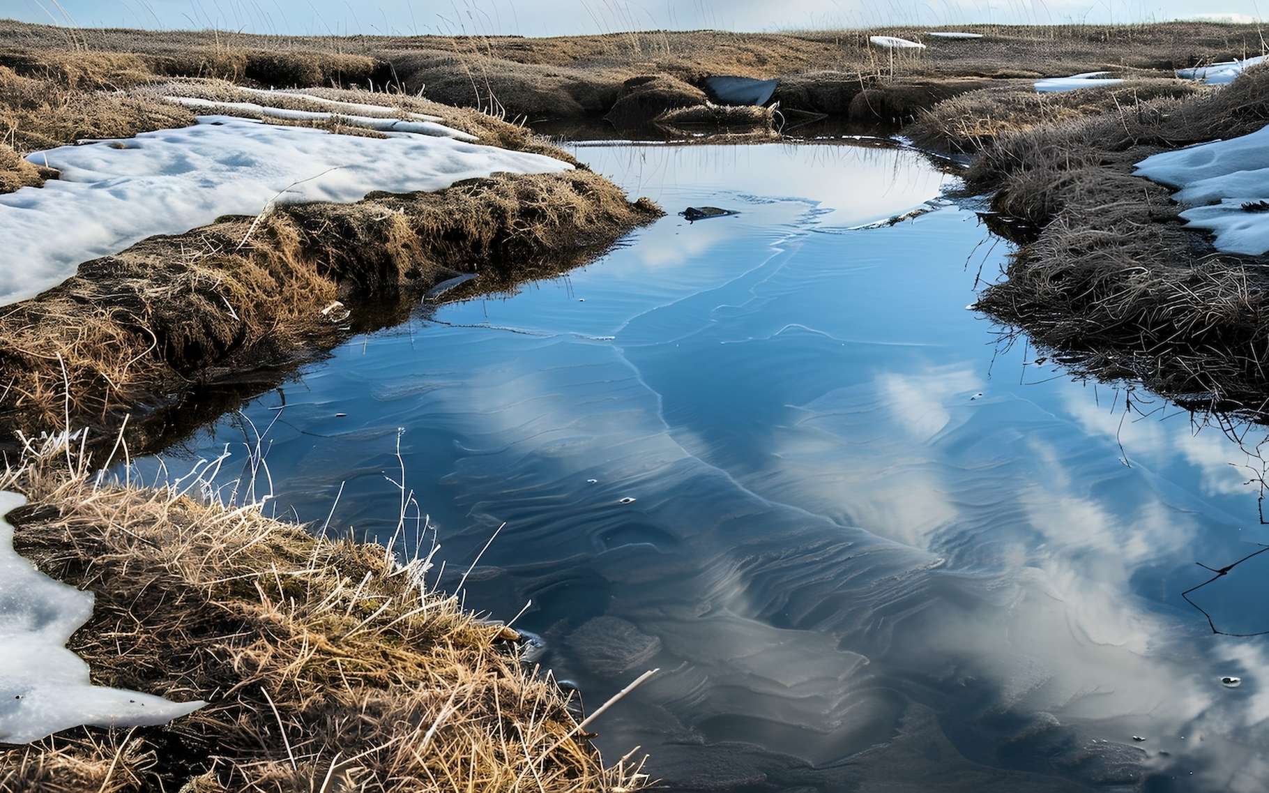 Le dégel du permafrost est une énorme bombe à retardement à cause des microbes !