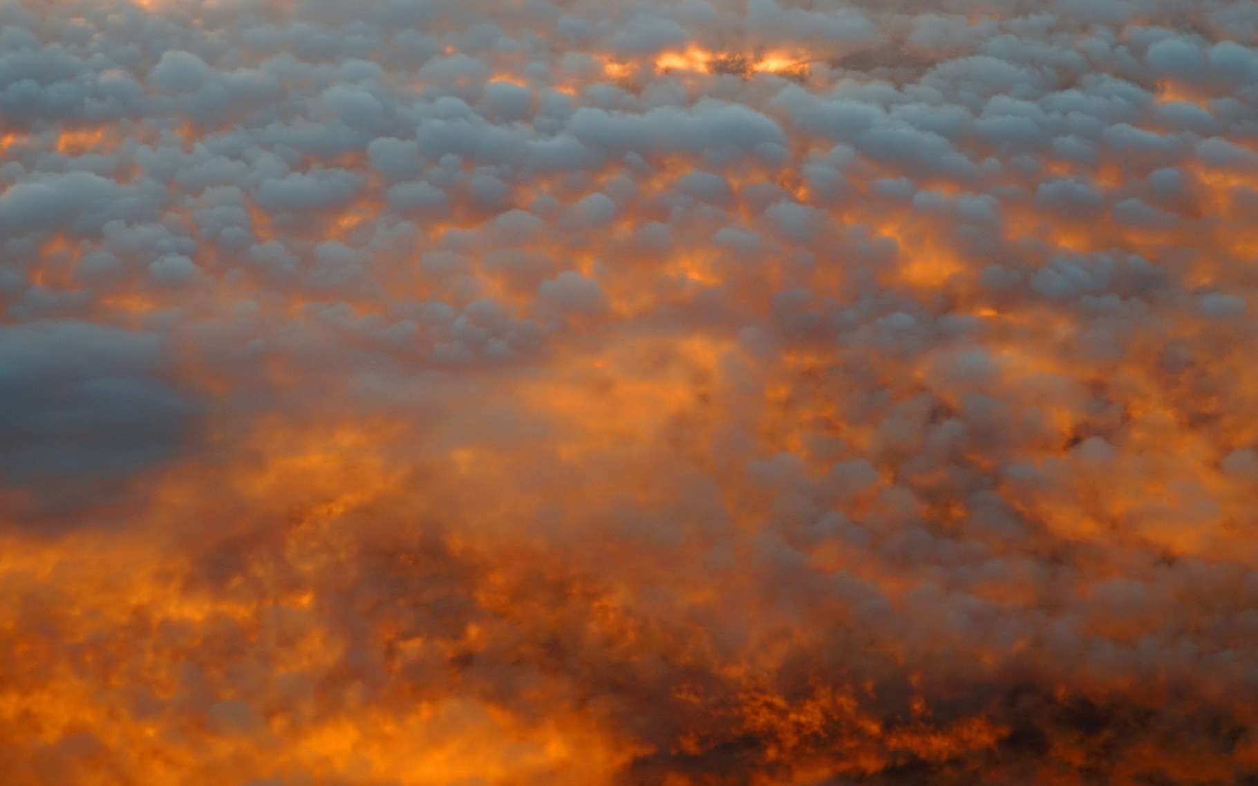 La violence du Bootleg Fire (Oregon, États-Unis) l’amène à générer des pyrocumulus. © nd700, Adobe Stock