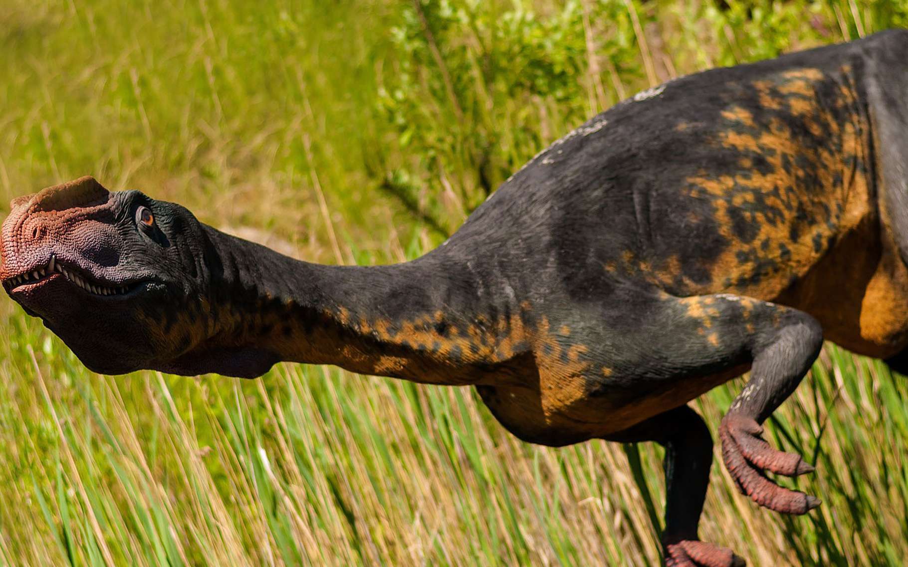 En savoir plus sur les dinosaures