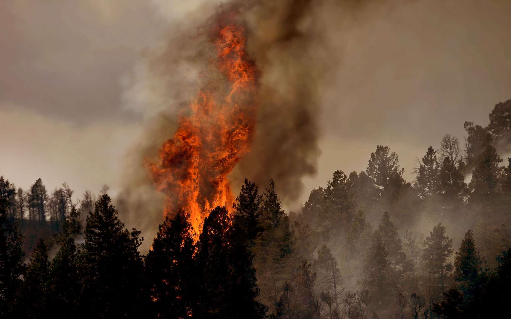 Vidéo | Les tornades de feu, un phénomène rare et impressionnant