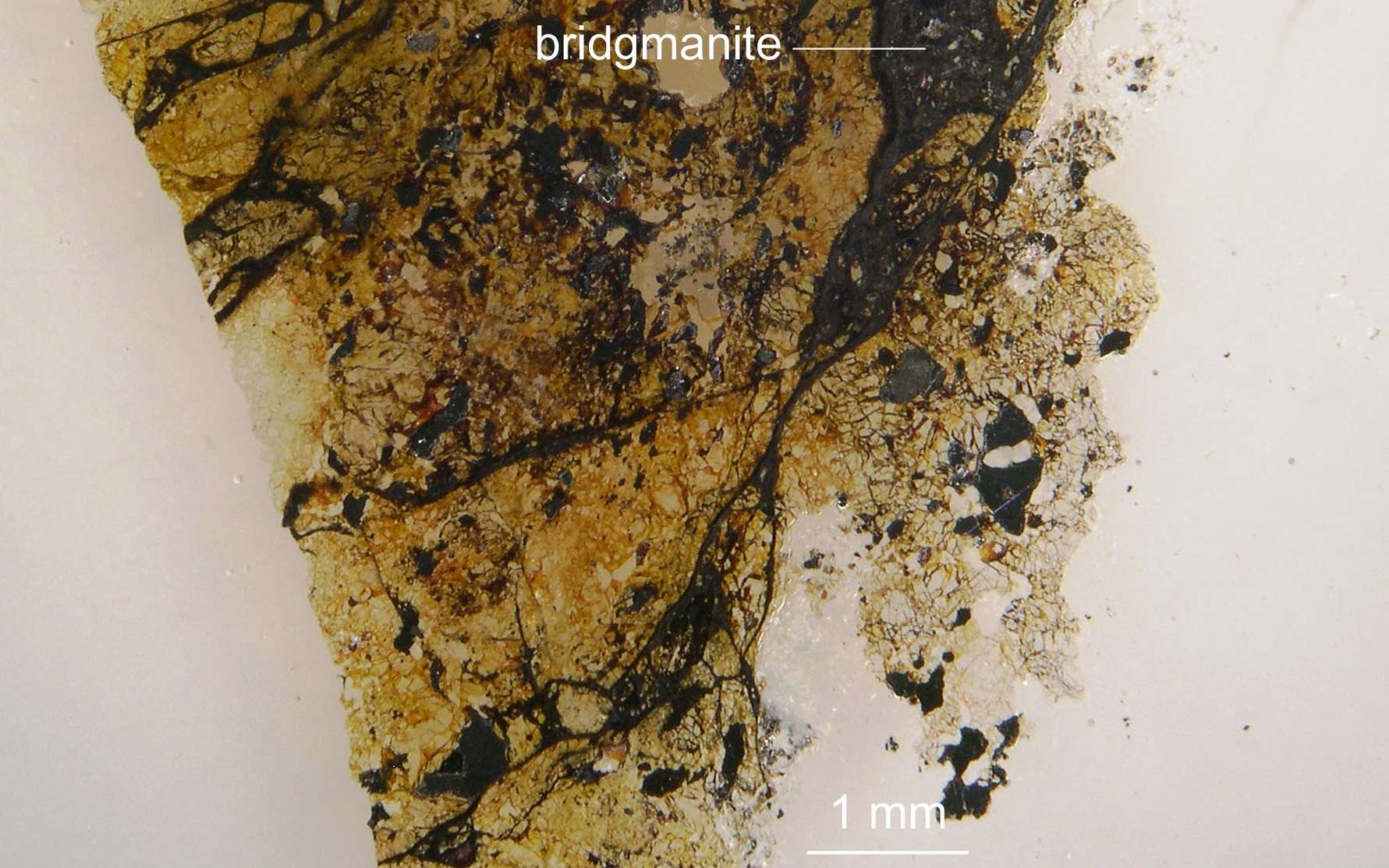 Cette lame mince de roche montre un échantillon de la météorite de Tenham âgée d'environ 4,5 milliards d'années. Elle renferme un cristal jamais retrouvé à l'état naturel mais qui constitue pourtant un des composants majeurs du manteau inférieur de la Terre. Il vient d'être baptisé : bridgmanite. © Chi Ma
