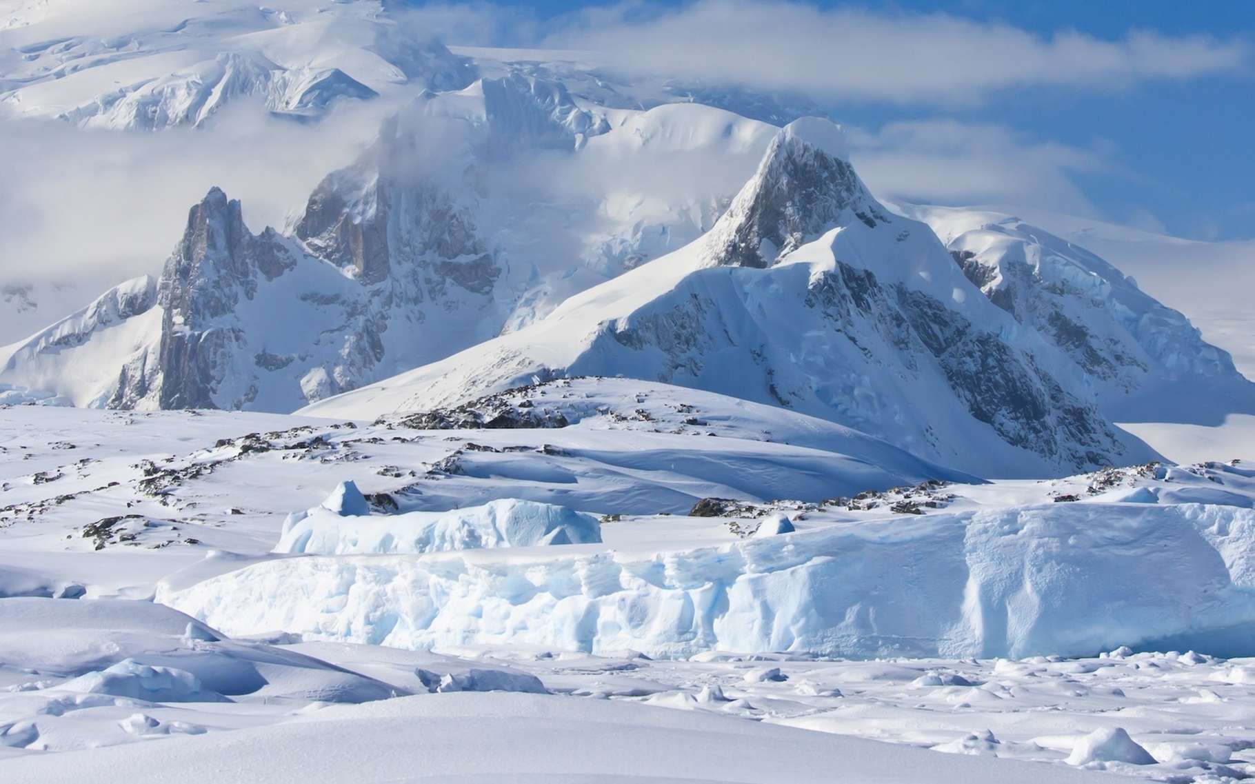 Ces images saisissantes de l'Antarctique laissent les chercheurs incrédules