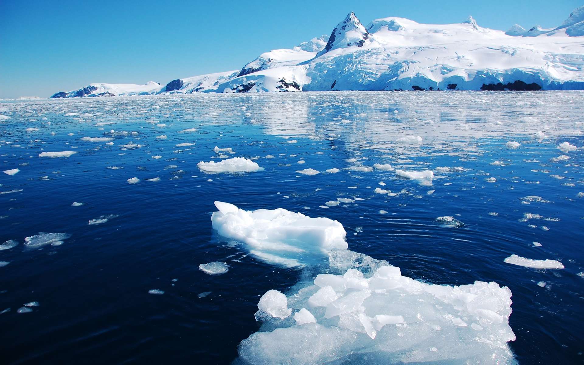 Plusieurs records absolus de chaleur ont été enregistrés en Antarctique vendredi 18 mars. © nyankotoasobu, Adobe Stock