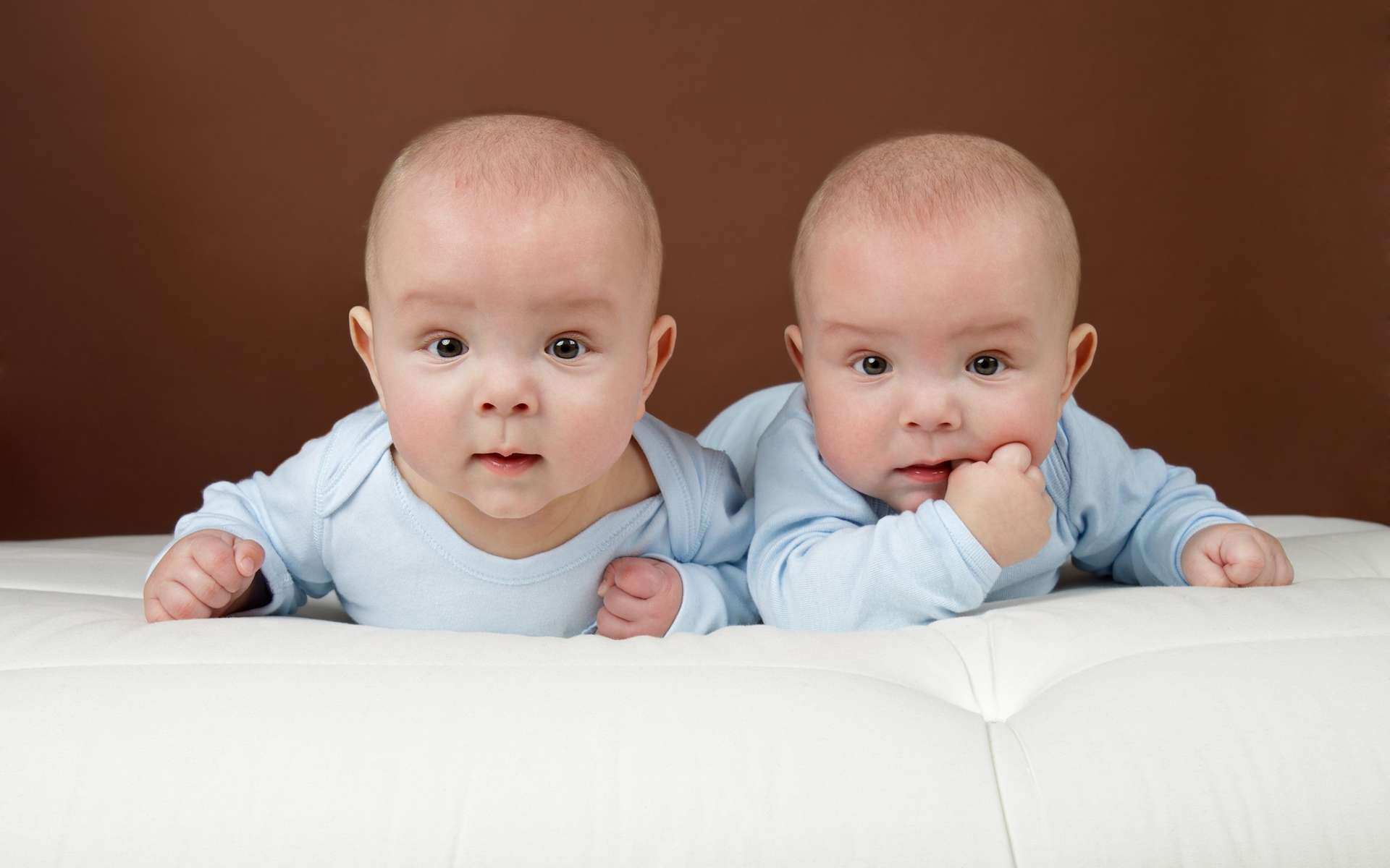 Natalite Pourquoi Le Nombre De Jumeaux A Double En 40 Ans Natalite Pourquoi Le Nombre De Jumeaux A Double En 40 Ans