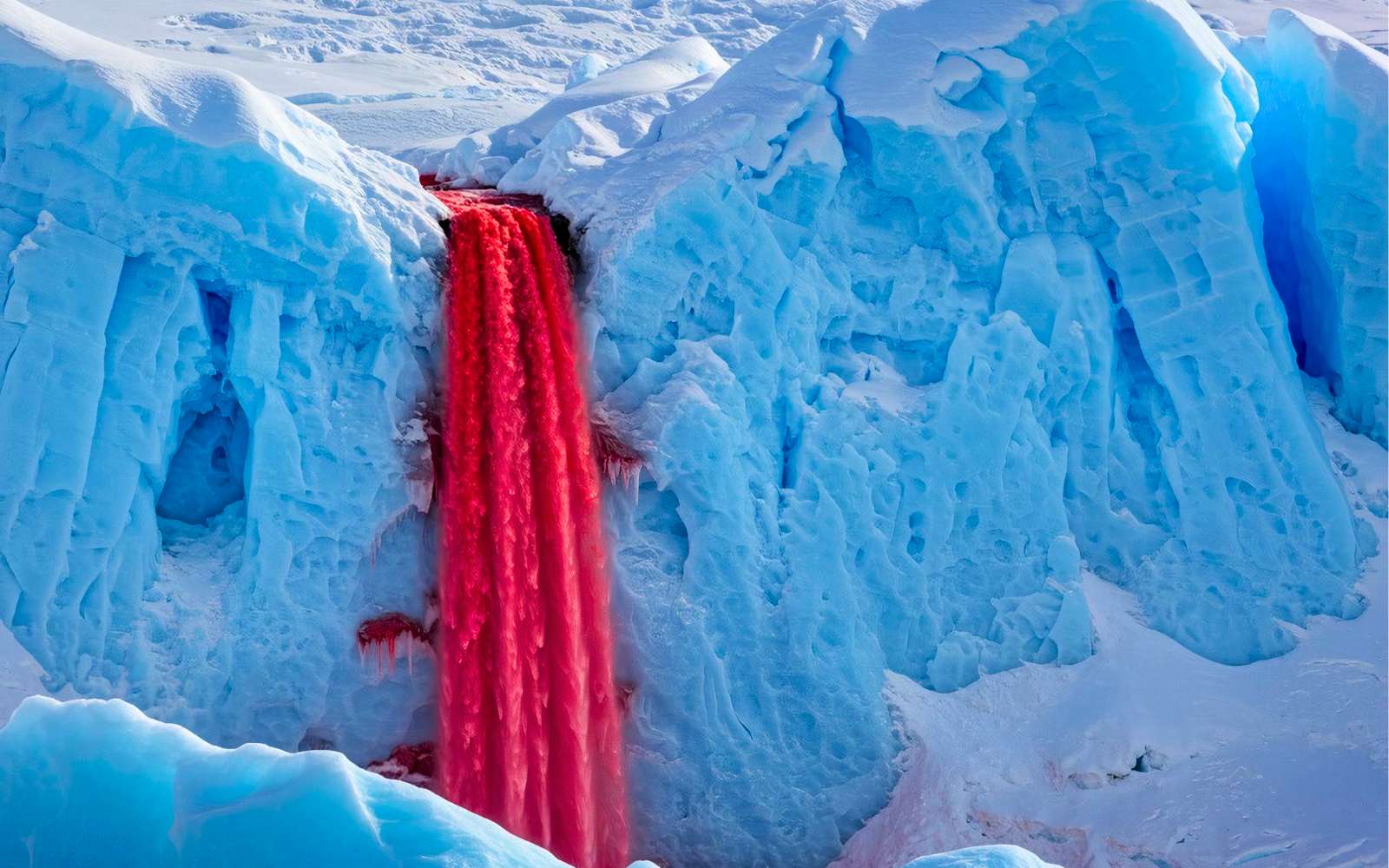 « Cascades de sang » en Antarctique : enfin une explication scientifique claire