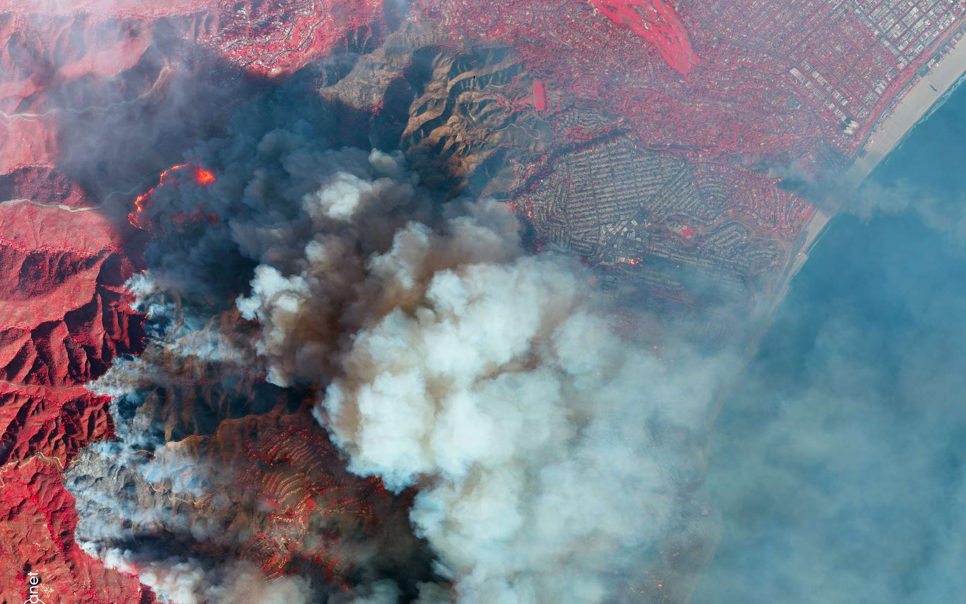 Les images satellites des incendies à Los Angeles révèlent une ville en sursis