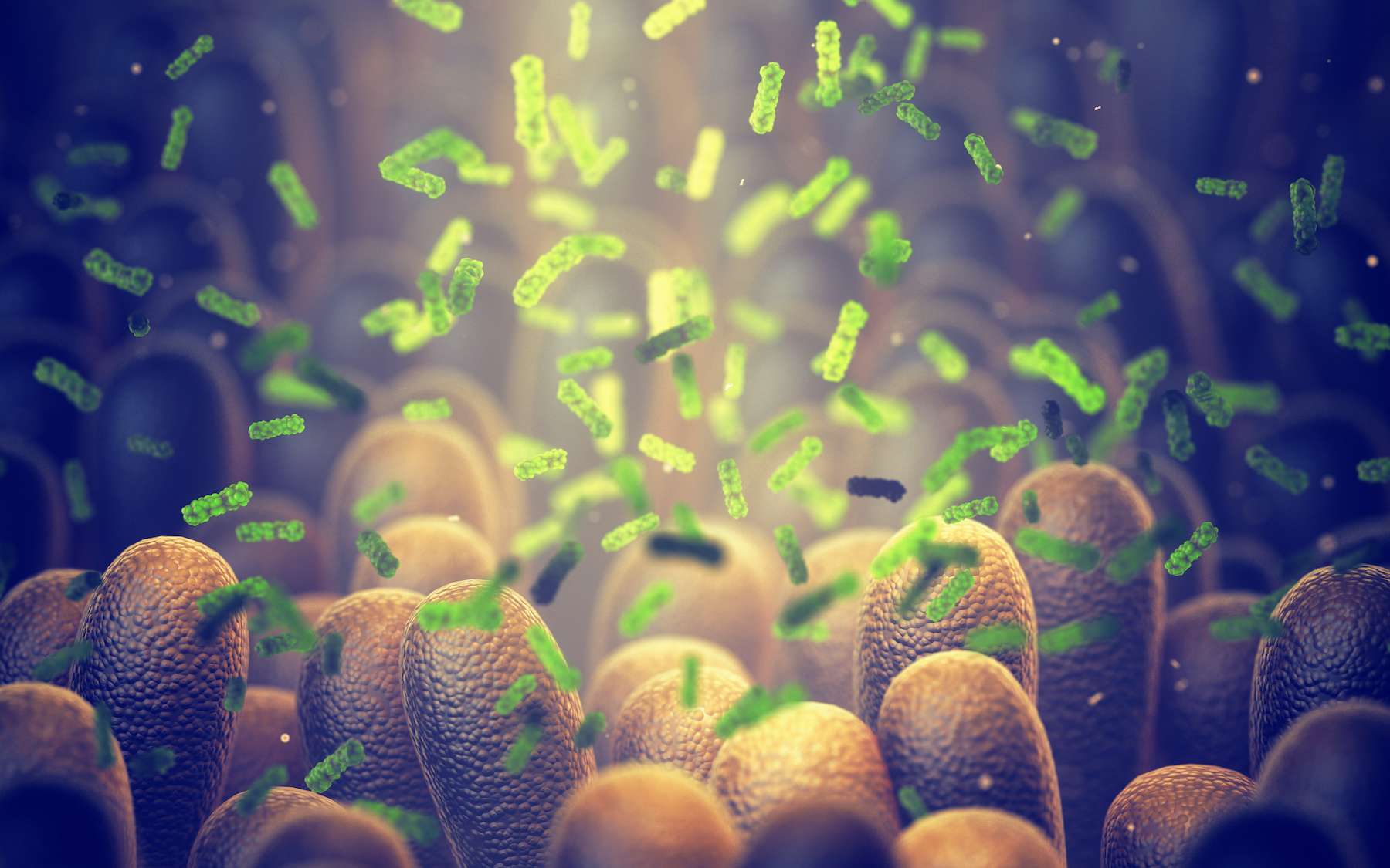 Des scientifiques chinois ont observé des perturbations dans le microbiote intestinal chez les personnes dépressives. © nobeastsofierce, Adobe Stock