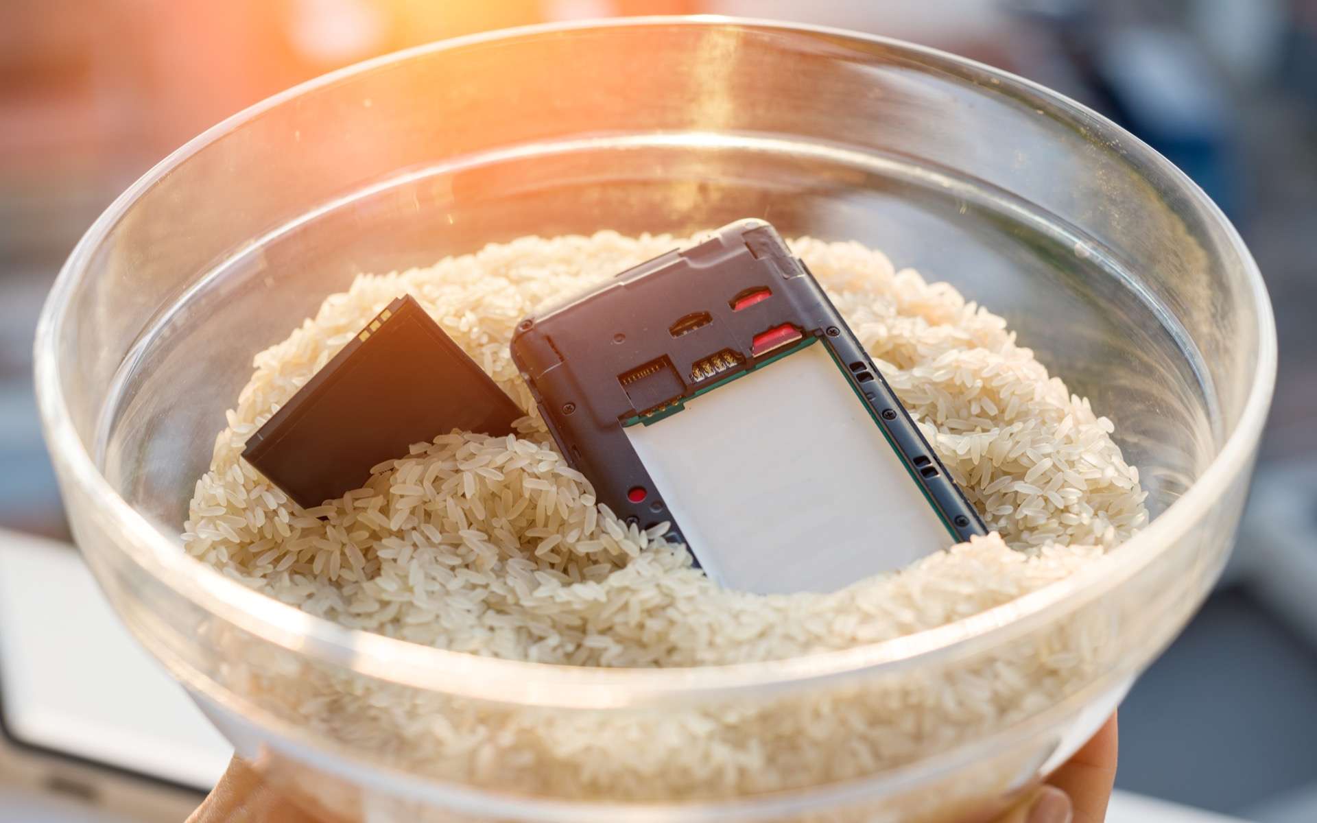 Pourquoi il ne faut pas mettre un smartphone tombé dans l'eau dans du riz ?