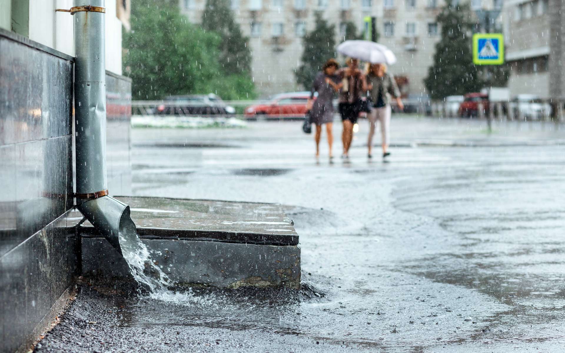 Selon une étude récente, l'eau de pluie est impropre à la consommation
