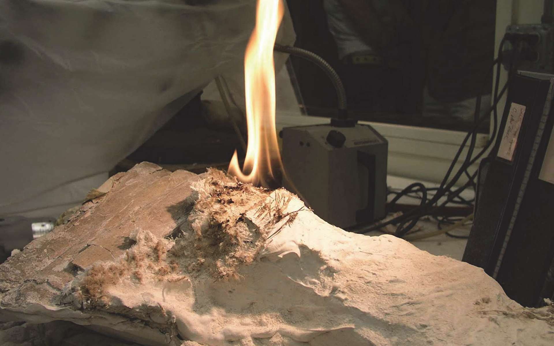Des paléontologues ont eu l'idée de mettre le feu à la coque de plâtre et de jute qui protège les fossiles pendant leur transport pour les en dégager sans les endommager. © Brown and Holliday, 2021