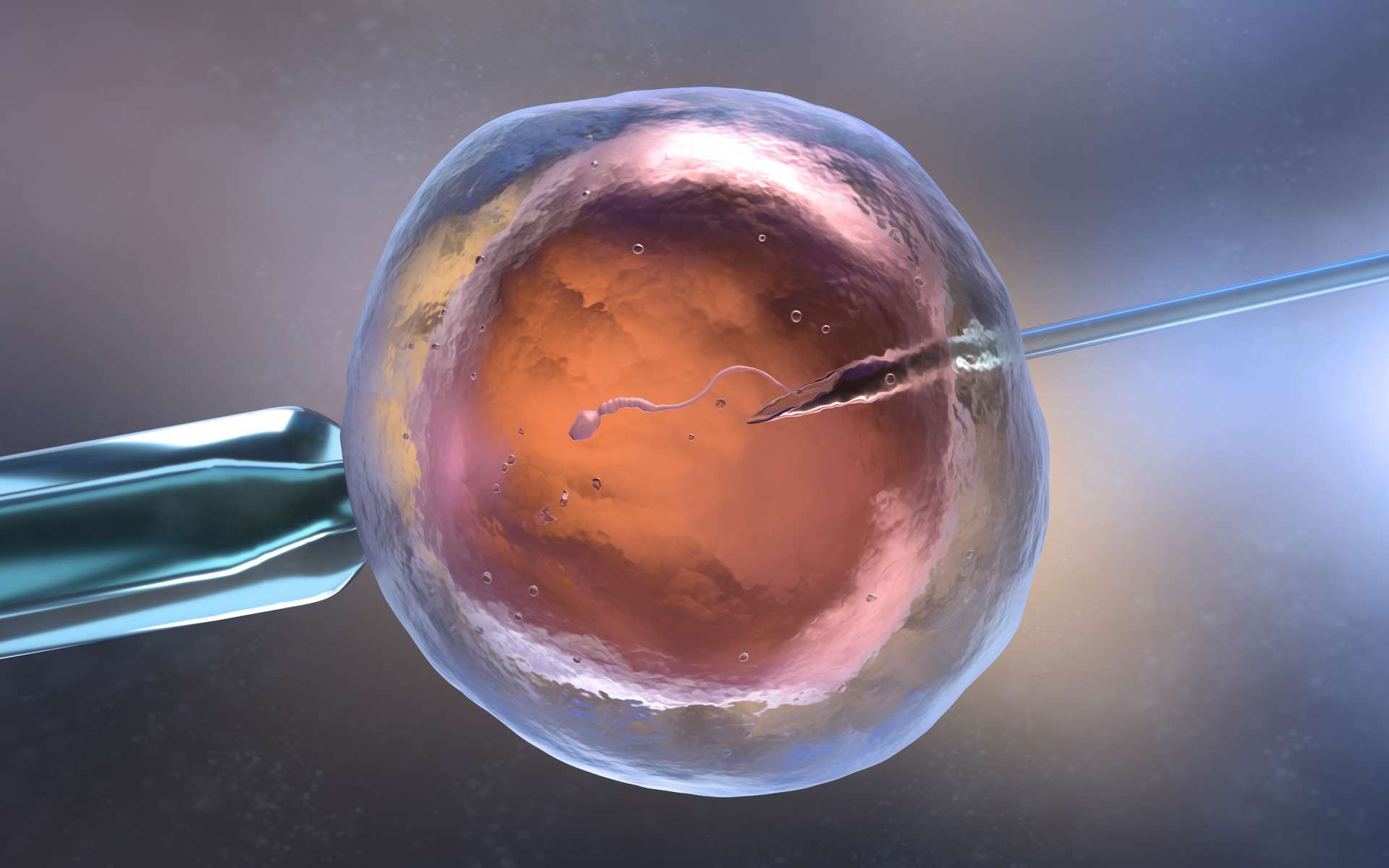 FIV : la qualité chromosomique des embryons pourrait être contrôlée par une IA