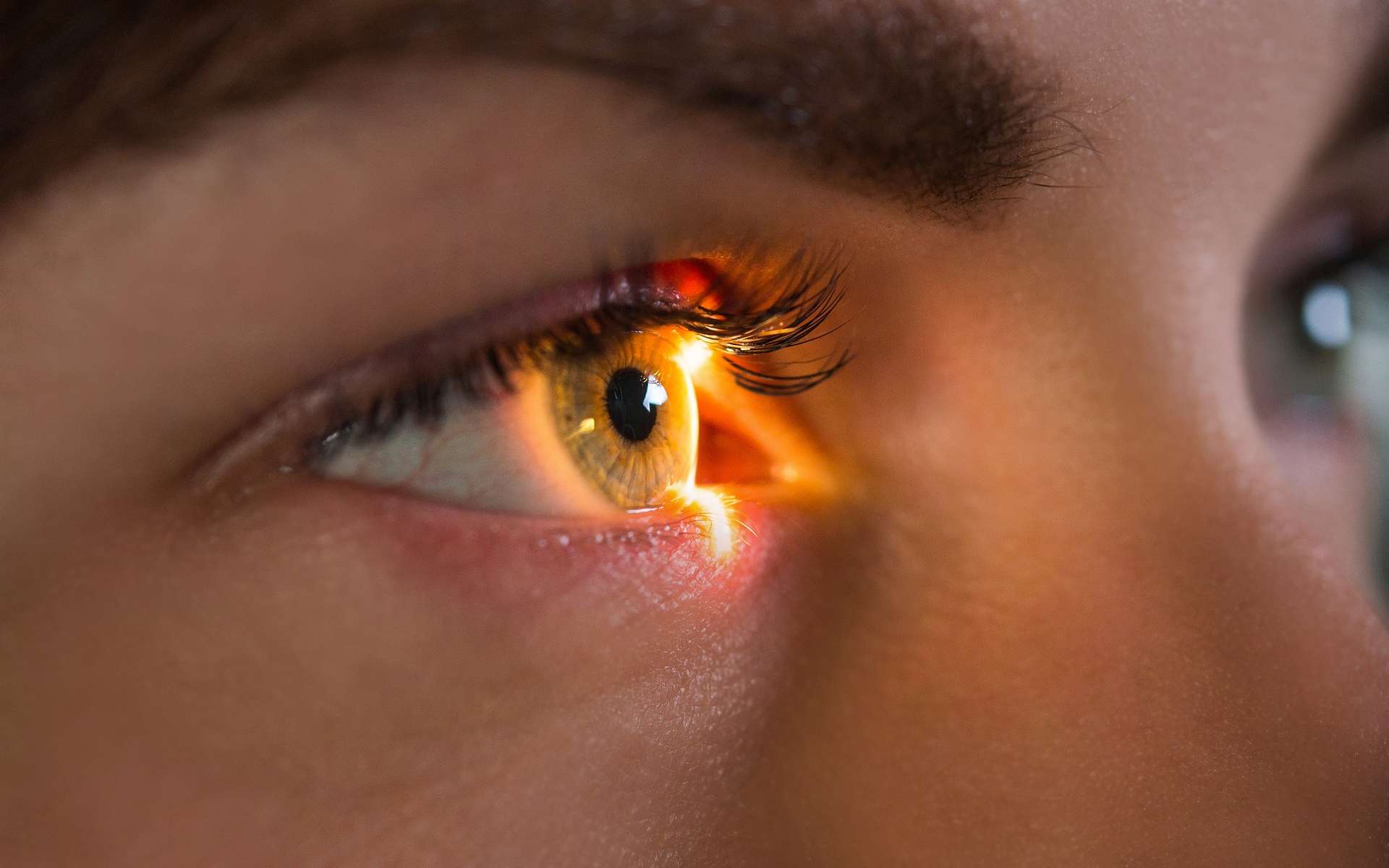 L’ophtalmologue diagnostique et traite toutes les pathologies de l’œil ou de la vision. © Анна Ковальчук, Adobe Stock.
