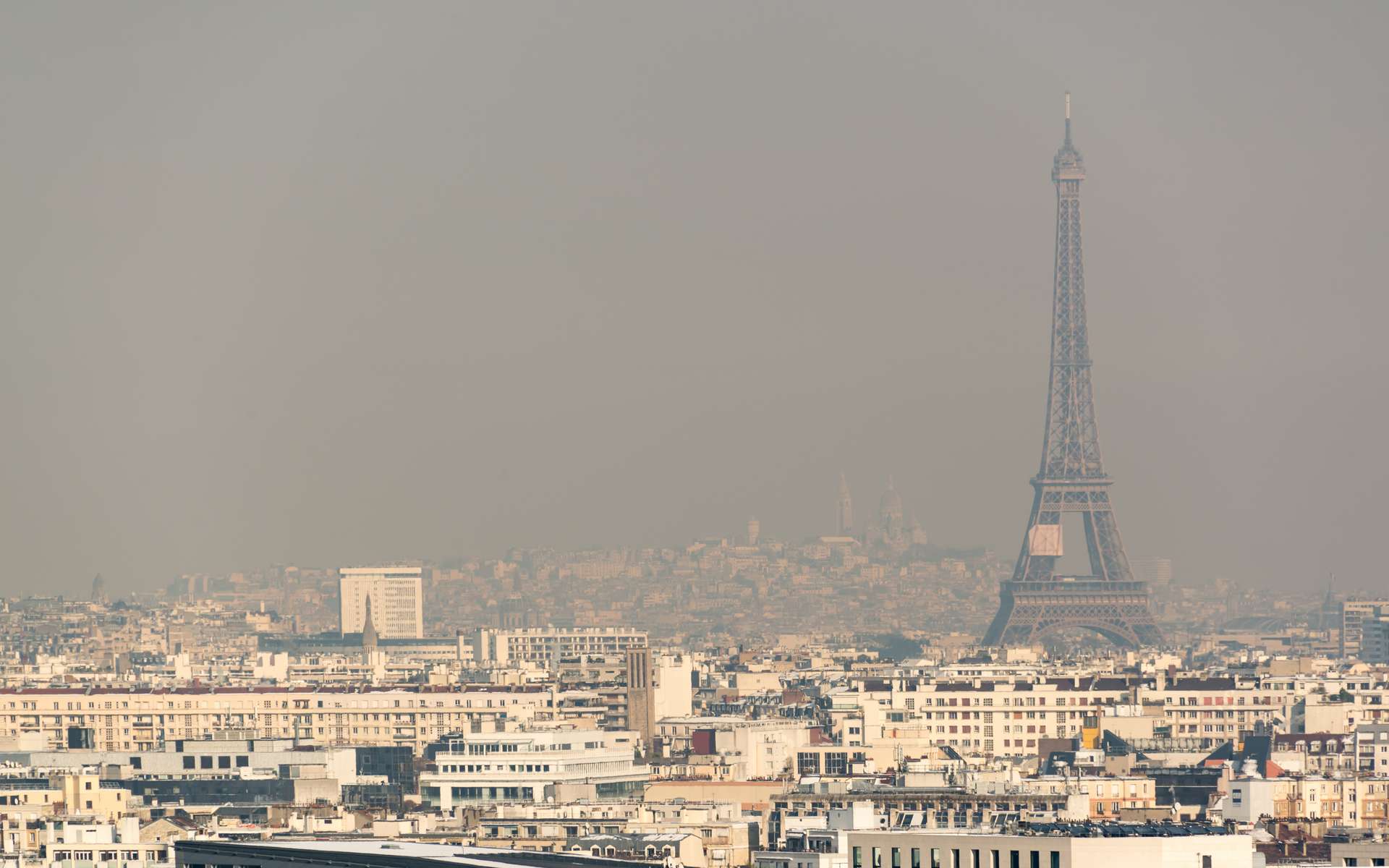 La pollution de l'air aggrave la rhinite