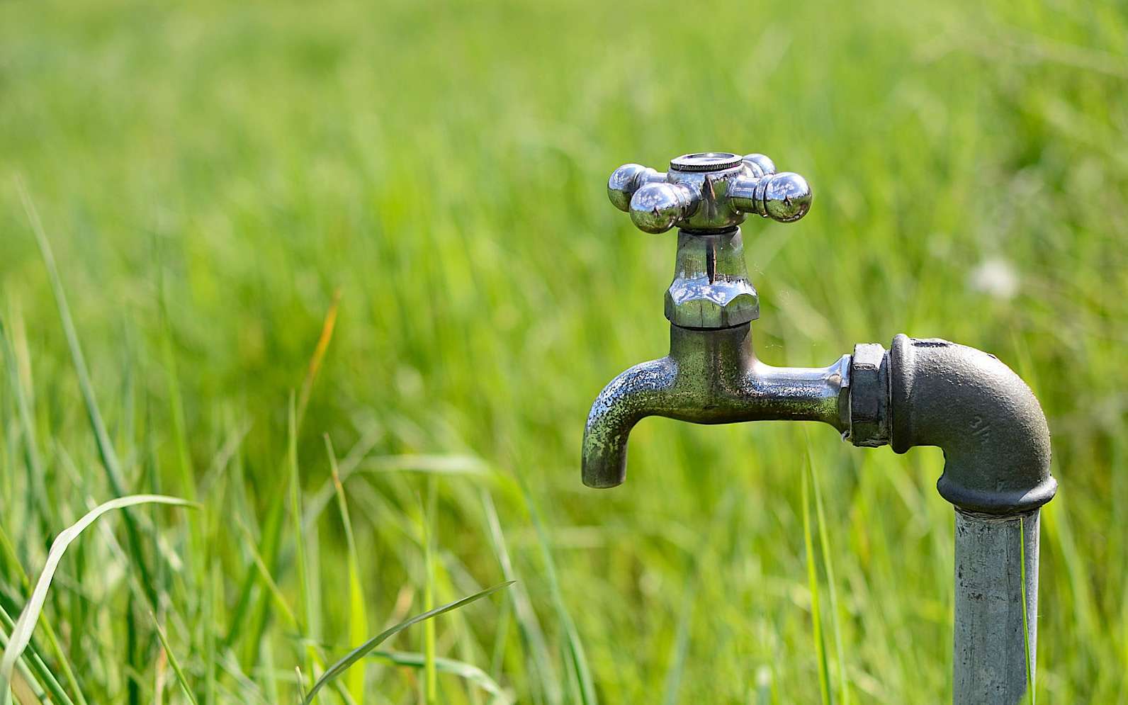 Arrosons l'hiver pour avoir de l'eau dans les rivières l'été, par Bruno Parmentier