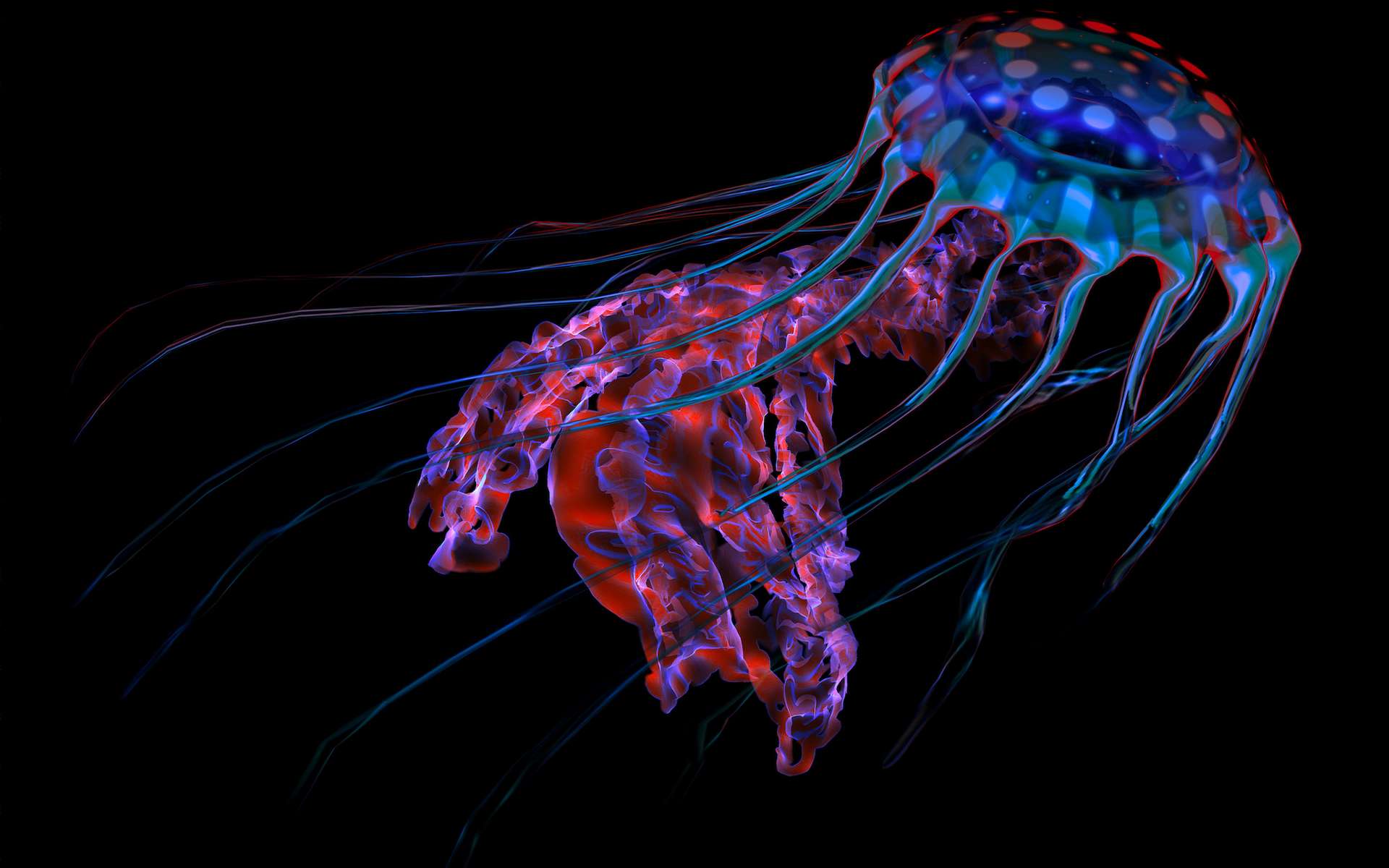 La bioluminescence serait apparue chez les animaux il y a 540 millions d'années !