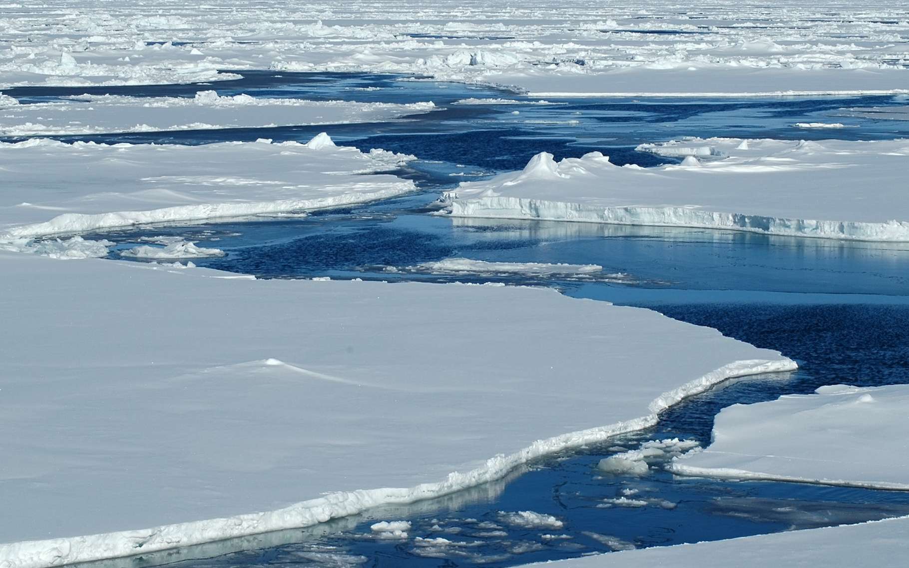 Le « glacier de l'apocalypse » menacé par des fissures : « il ne faut pas grand-chose pour le déséquilibrer »