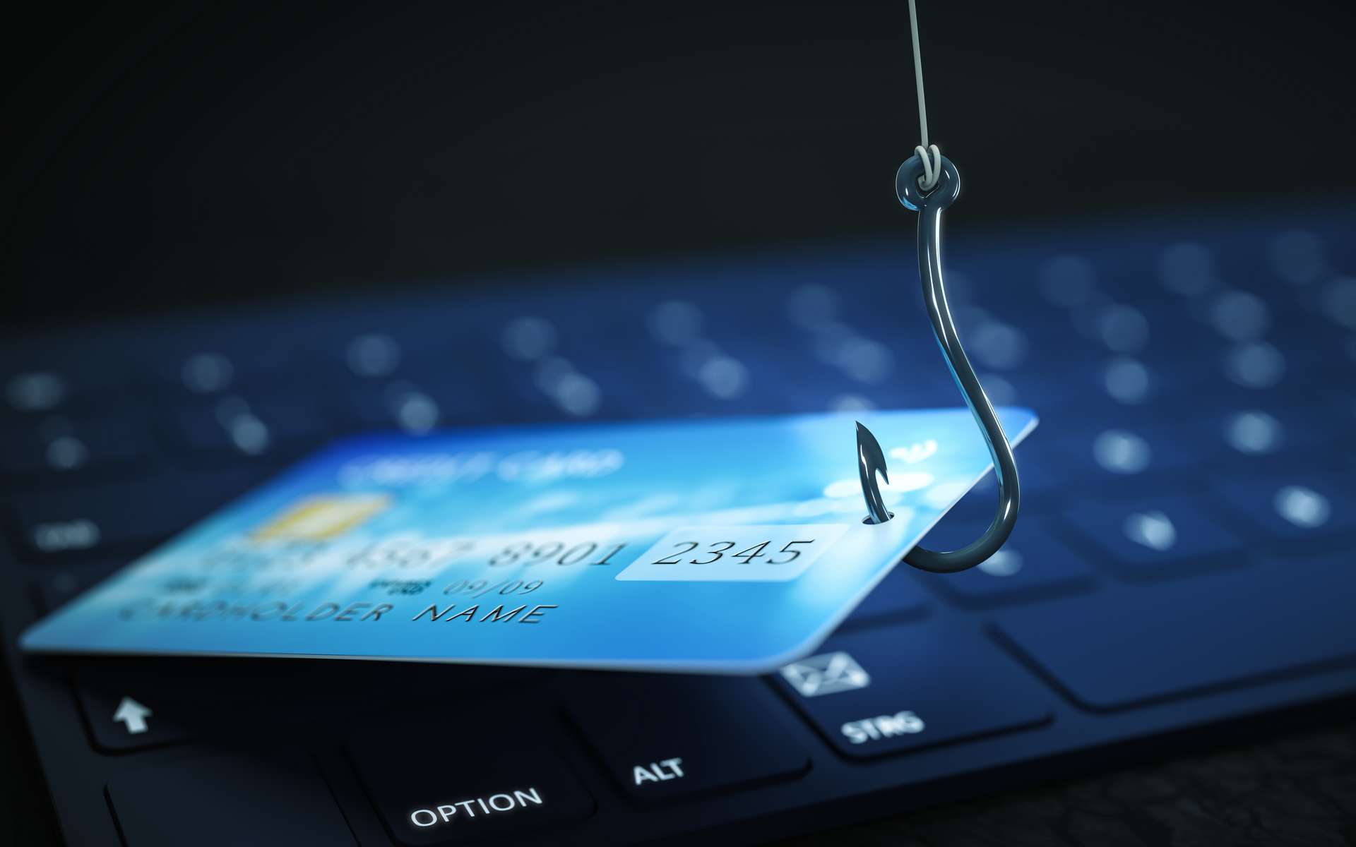 Le phishing, ou hameçonnage, est une escroquerie sur Internet. © magann, Adobe Stock